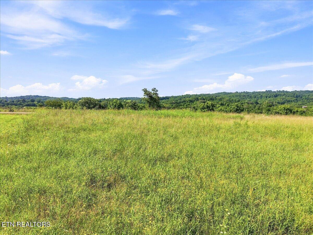 Lot 28 Waterfront Knoll Sharps Chapel TN 37866