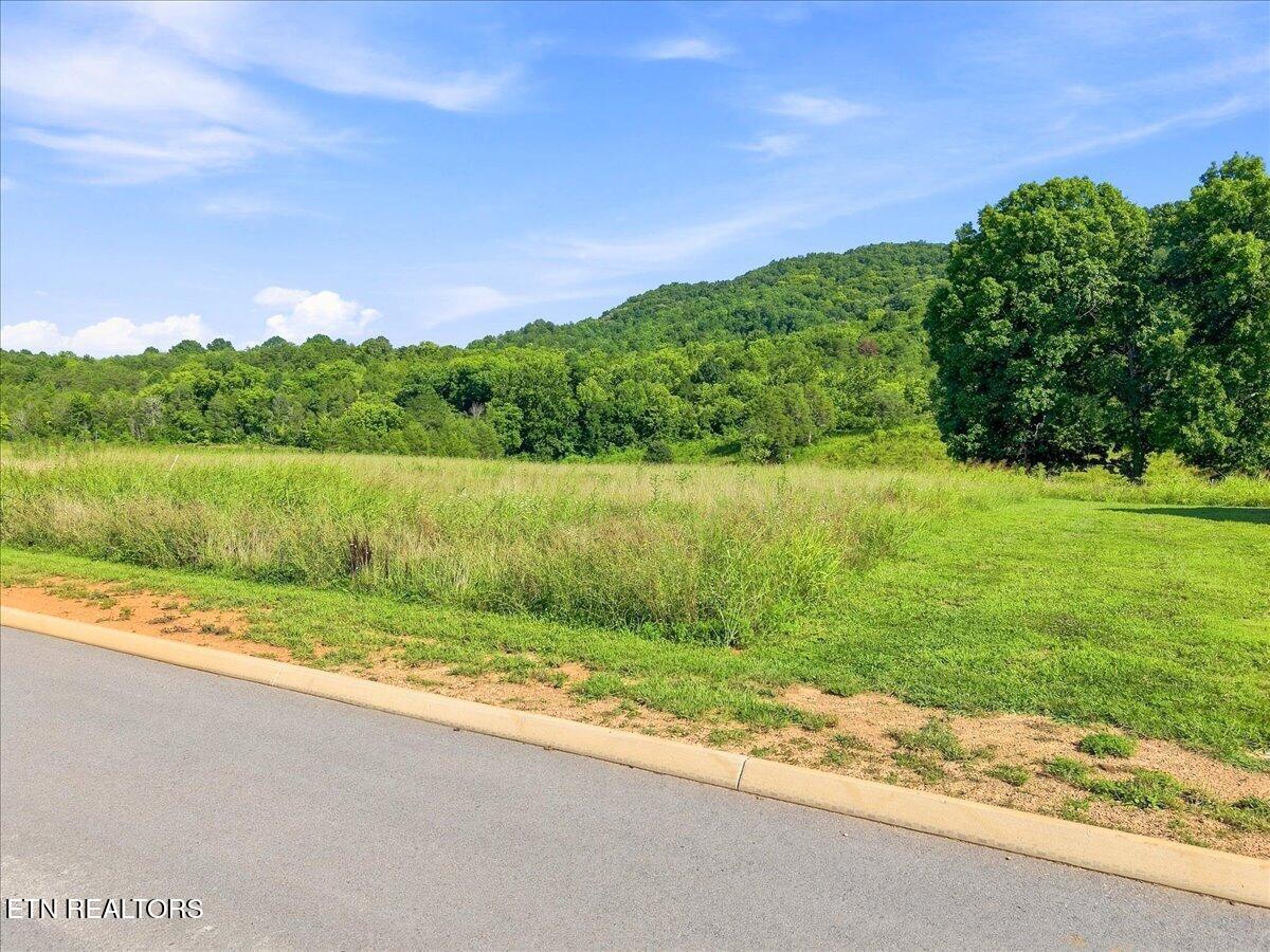 Lot 28 Waterfront Knoll Sharps Chapel TN 37866