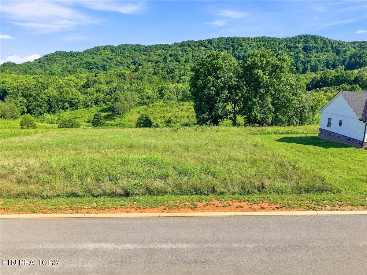 Lot 28 Waterfront Knoll Sharps Chapel TN 37866