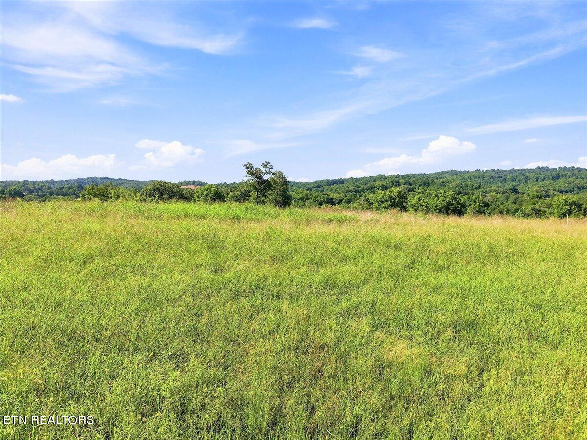 Lot 28 Waterfront Knoll Sharps Chapel TN 37866