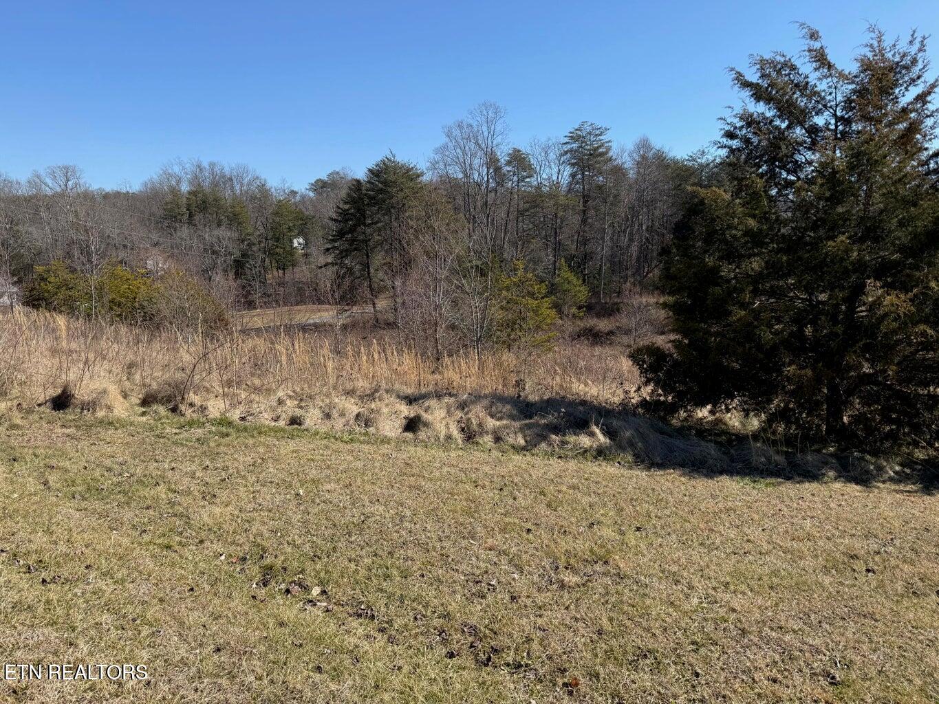 7 Crockett Lake Drive Crossville TN 38572