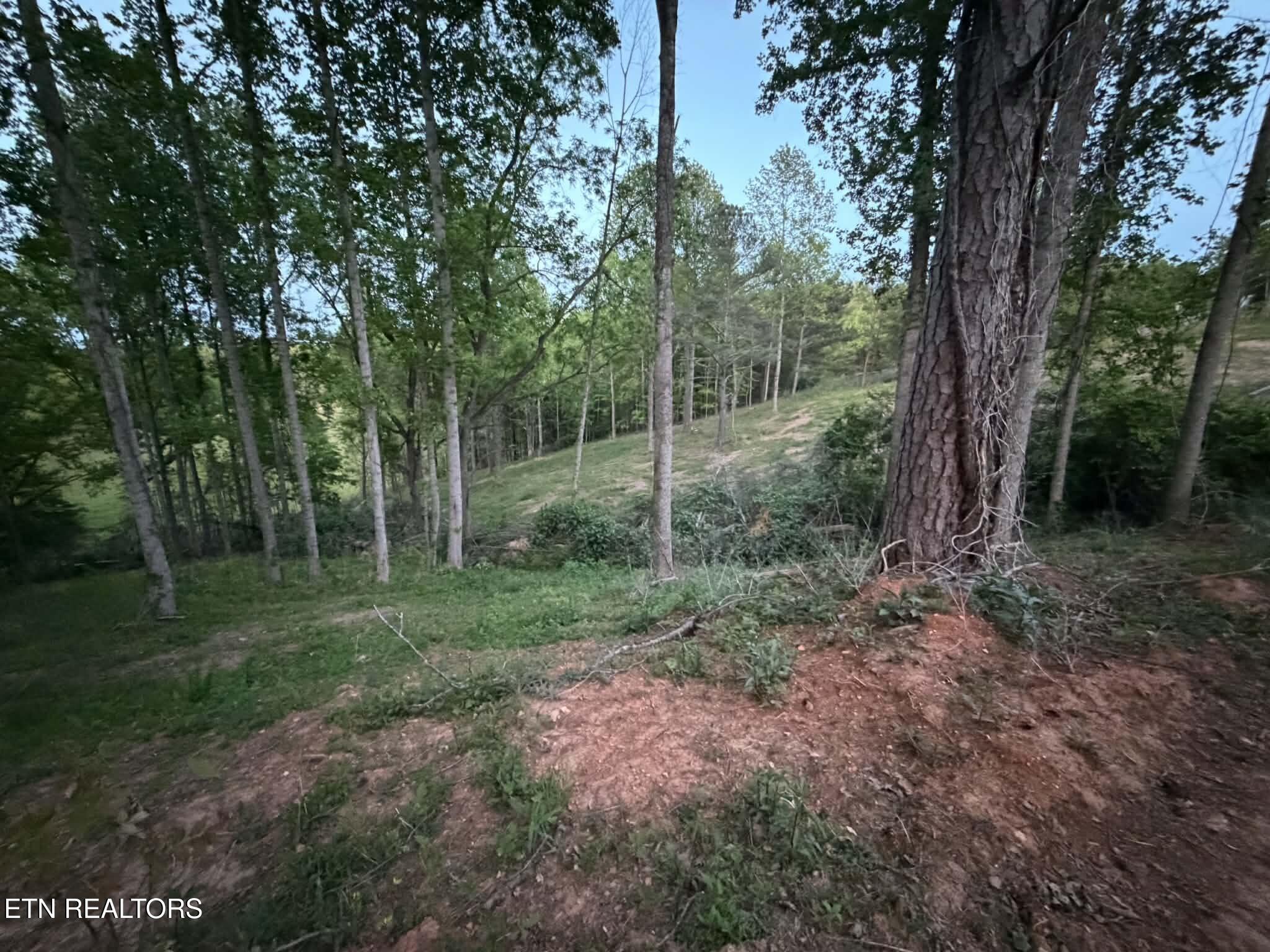 2116 Snodgrass Road New Tazewell TN 37825