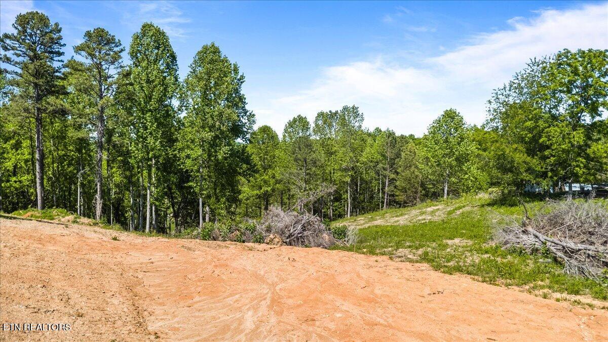 2116 Snodgrass Road New Tazewell TN 37825