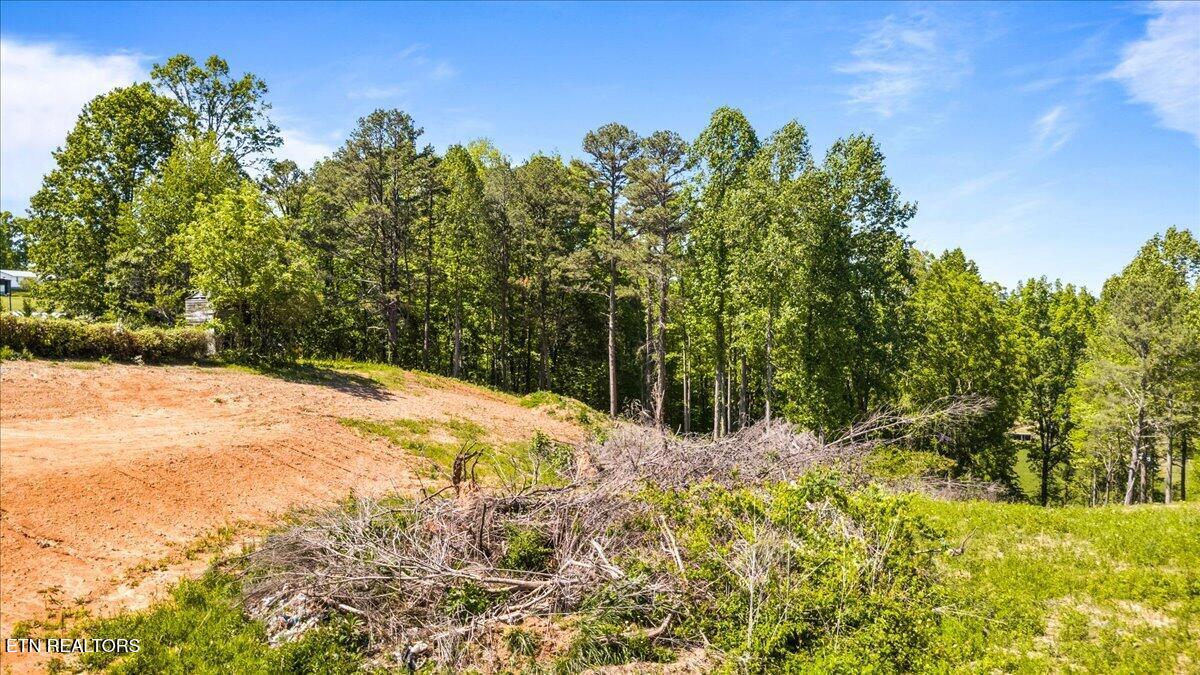 2116 Snodgrass Road New Tazewell TN 37825