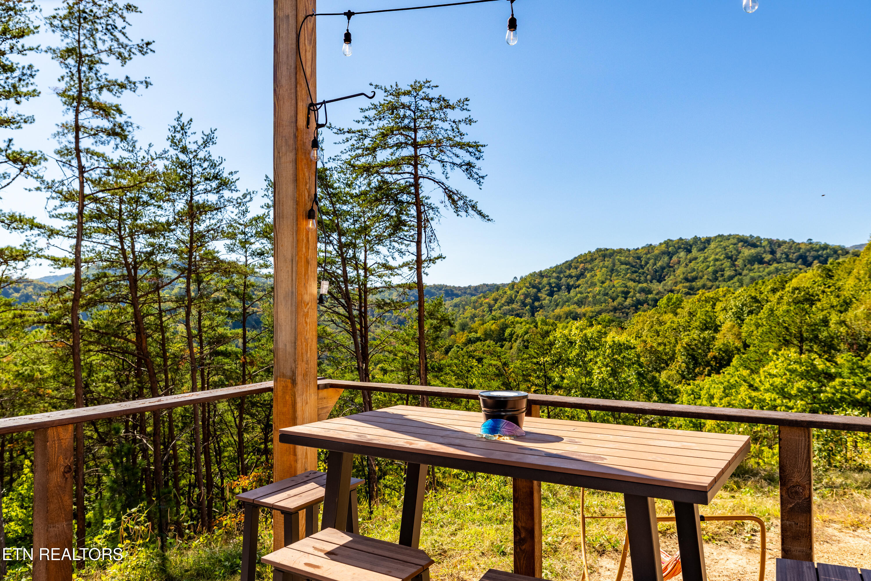 Patty View Way Sevierville TN 37862