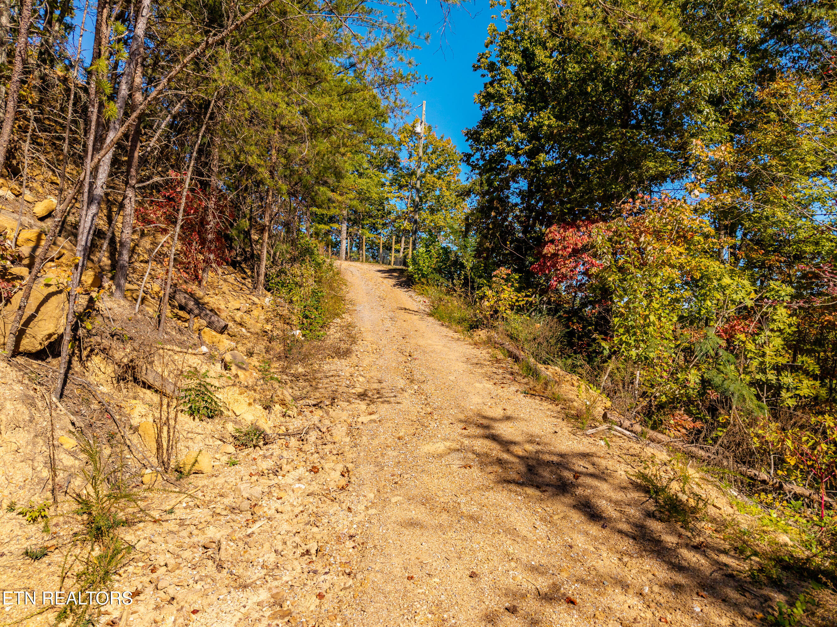 Patty View Way Sevierville TN 37862
