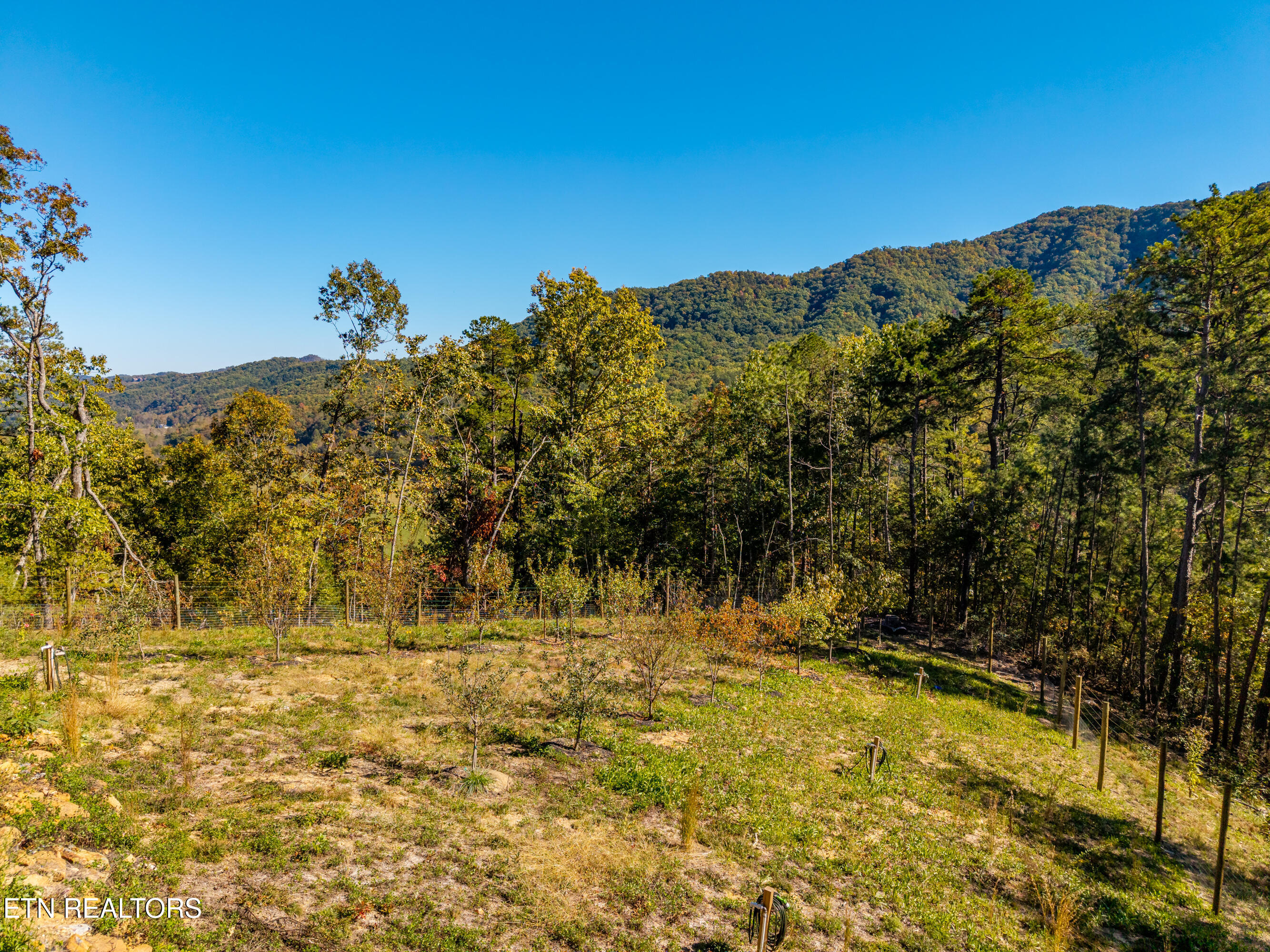 Patty View Way Sevierville TN 37862