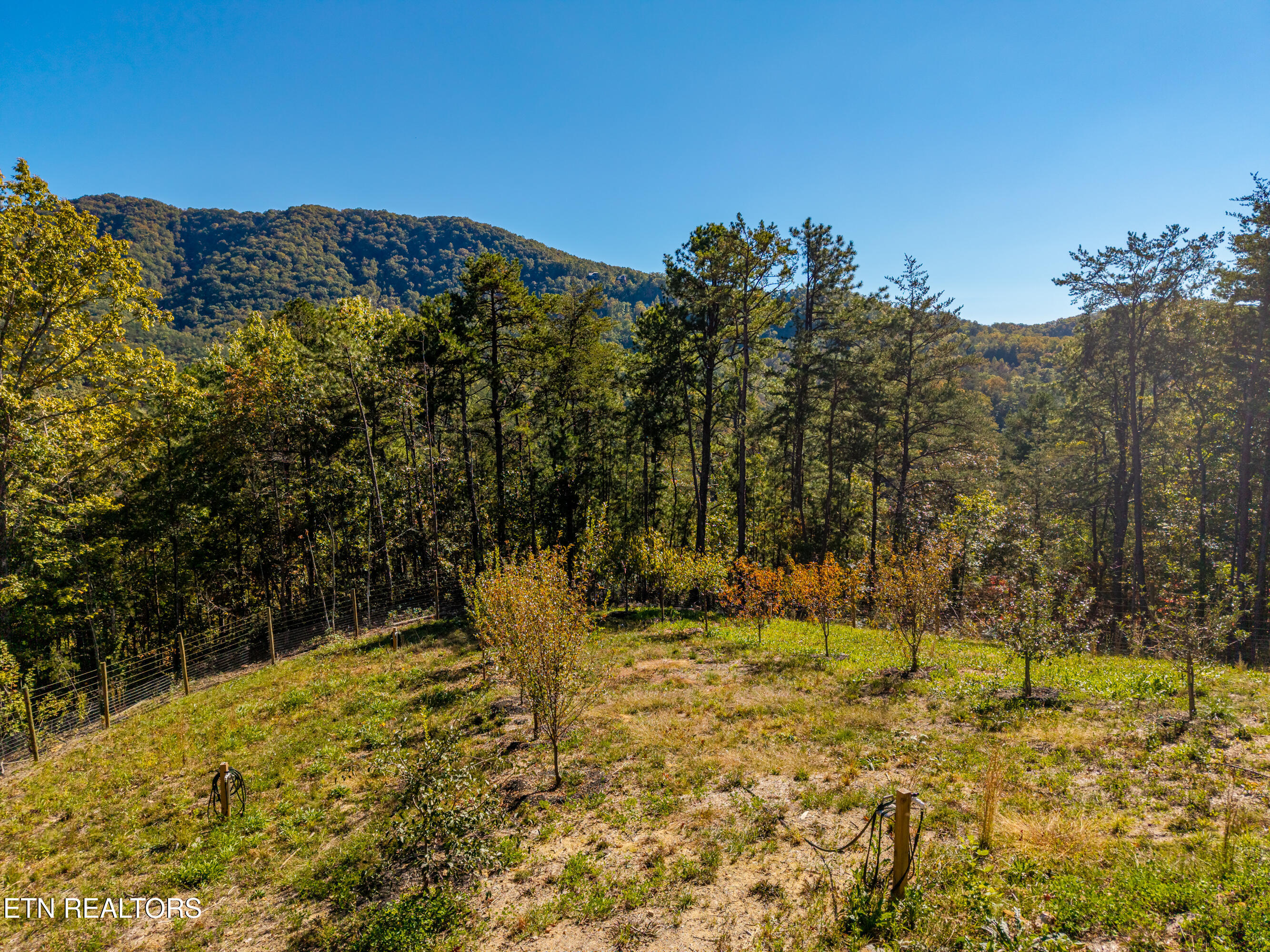 Patty View Way Sevierville TN 37862