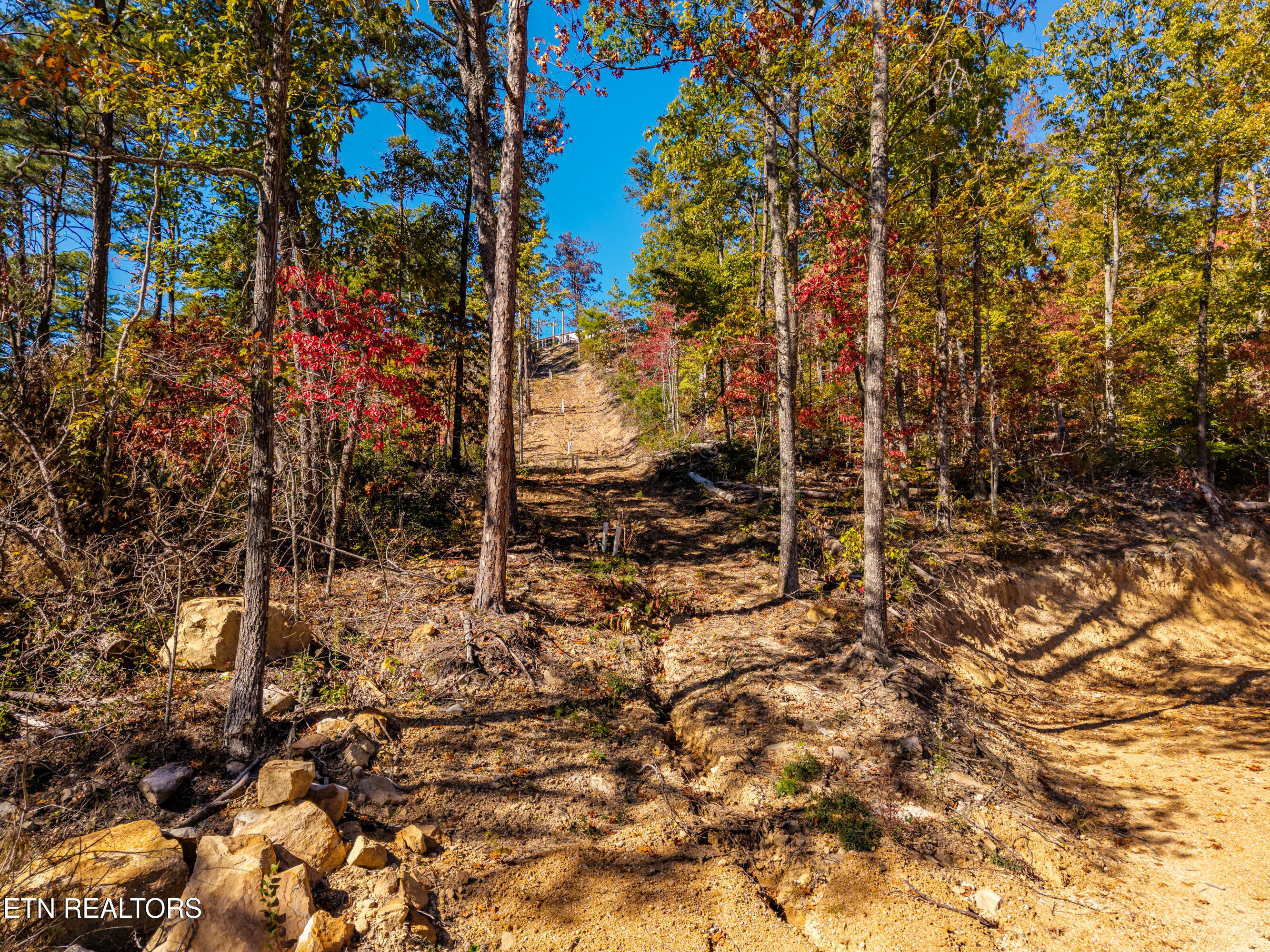 Patty View Way Sevierville TN 37862