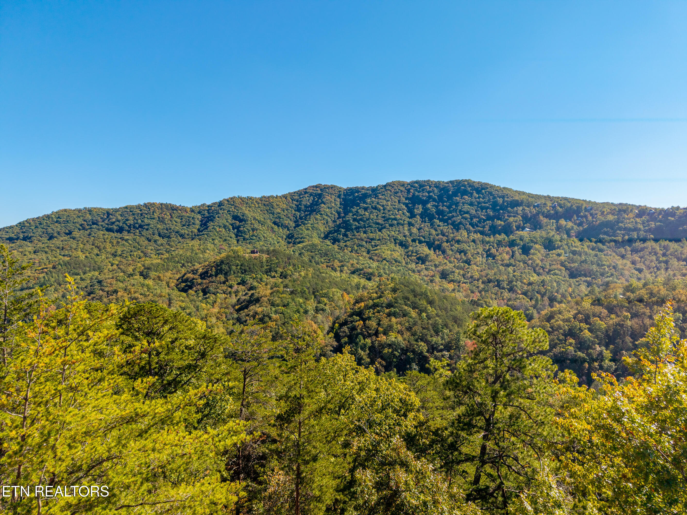Patty View Way Sevierville TN 37862