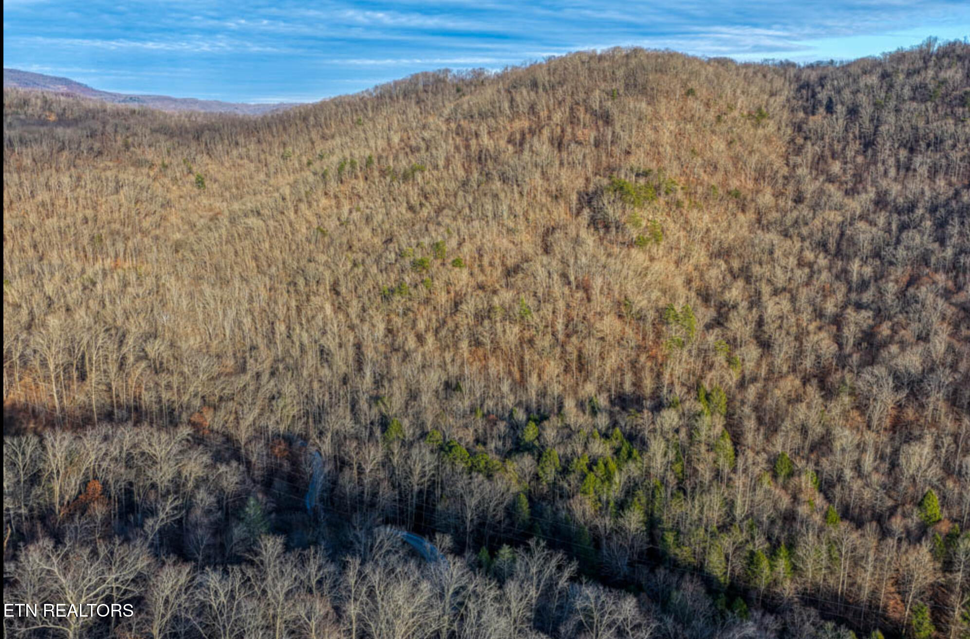 0 Hoskins Gap Road Oliver Springs TN 37840