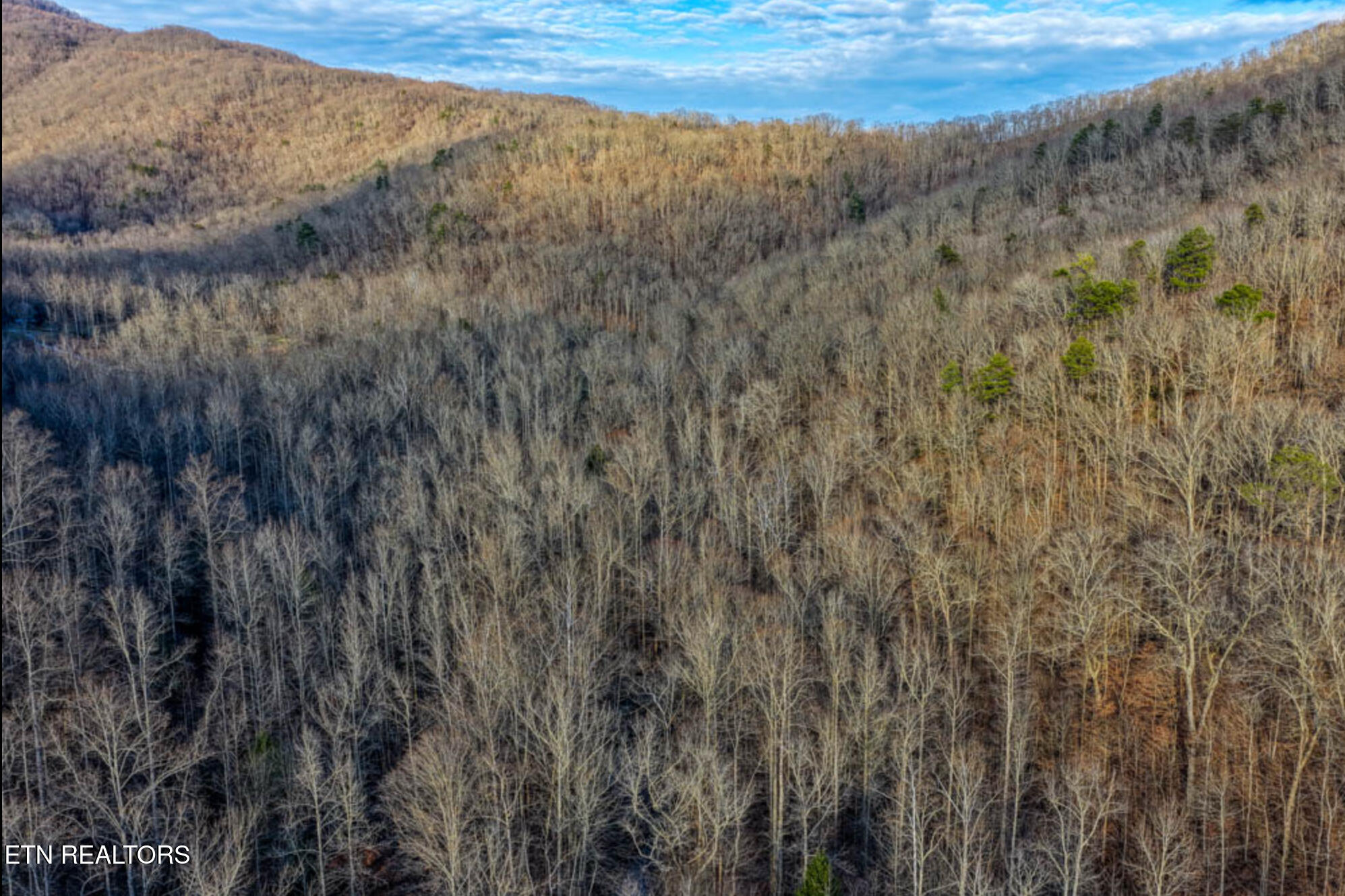 0 Hoskins Gap Road Oliver Springs TN 37840
