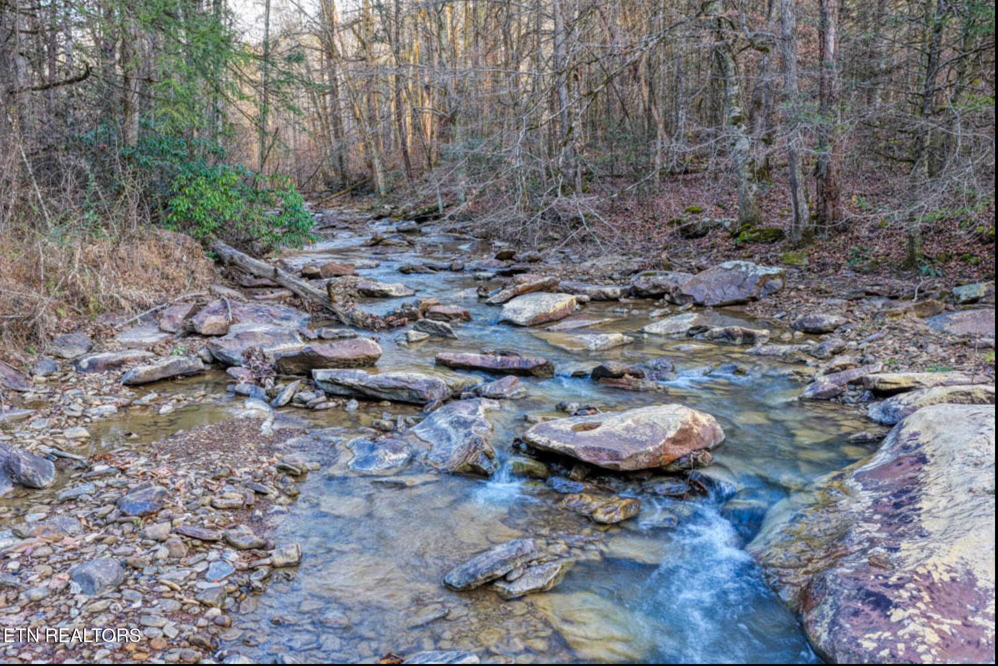 0 Hoskins Gap Road Oliver Springs TN 37840