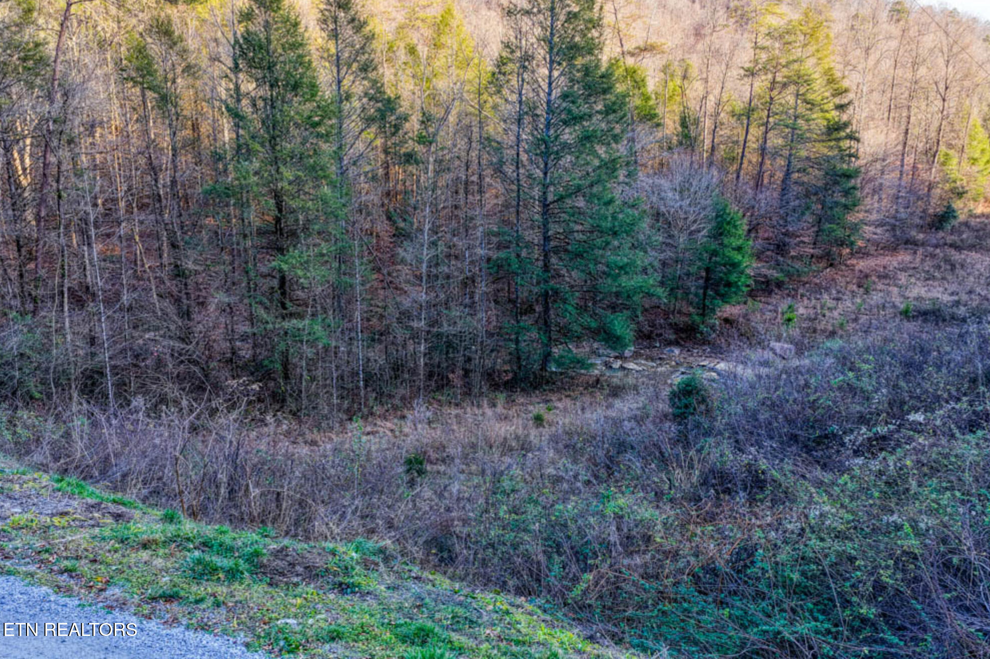 0 Hoskins Gap Road Oliver Springs TN 37840