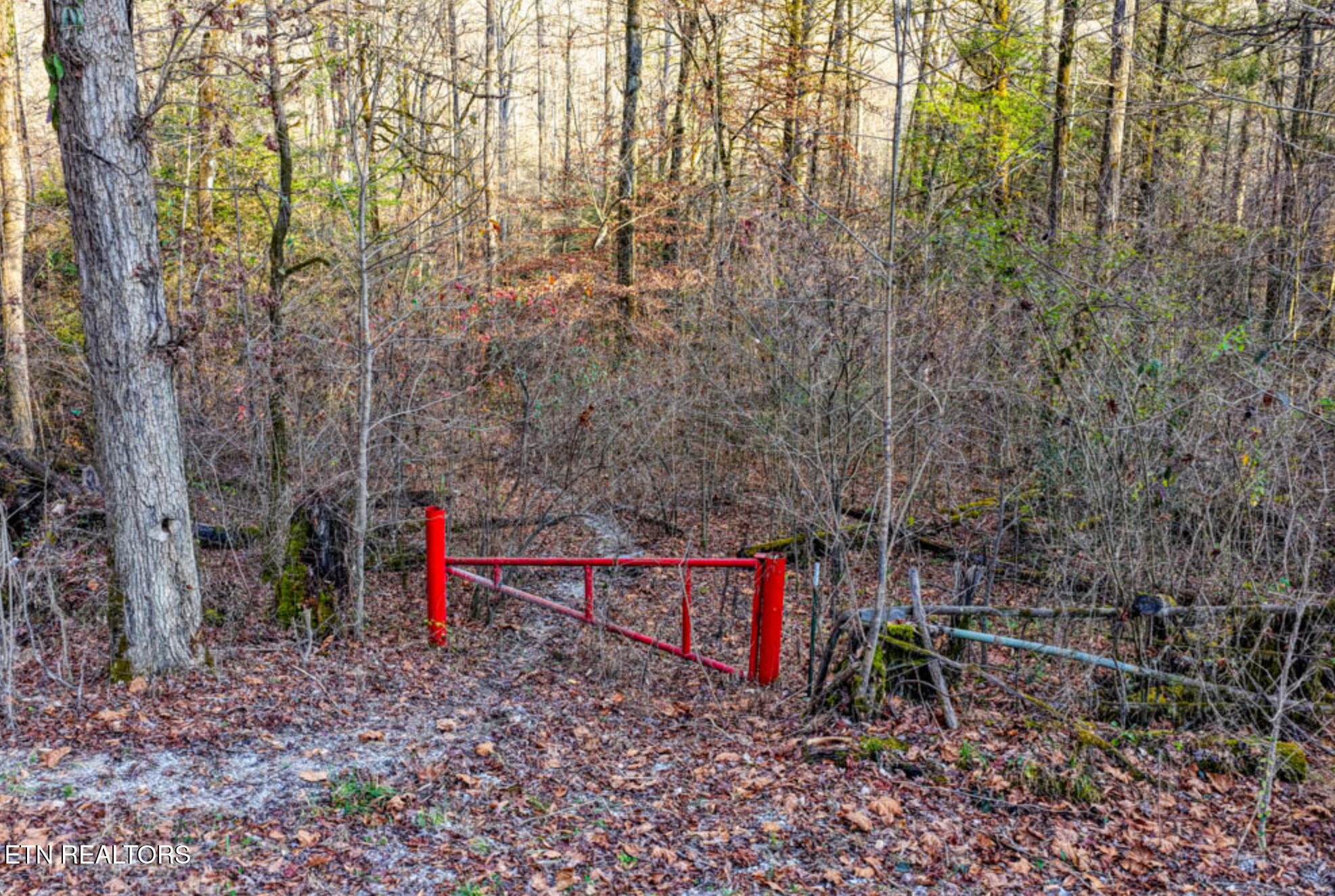 0 Hoskins Gap Road Oliver Springs TN 37840