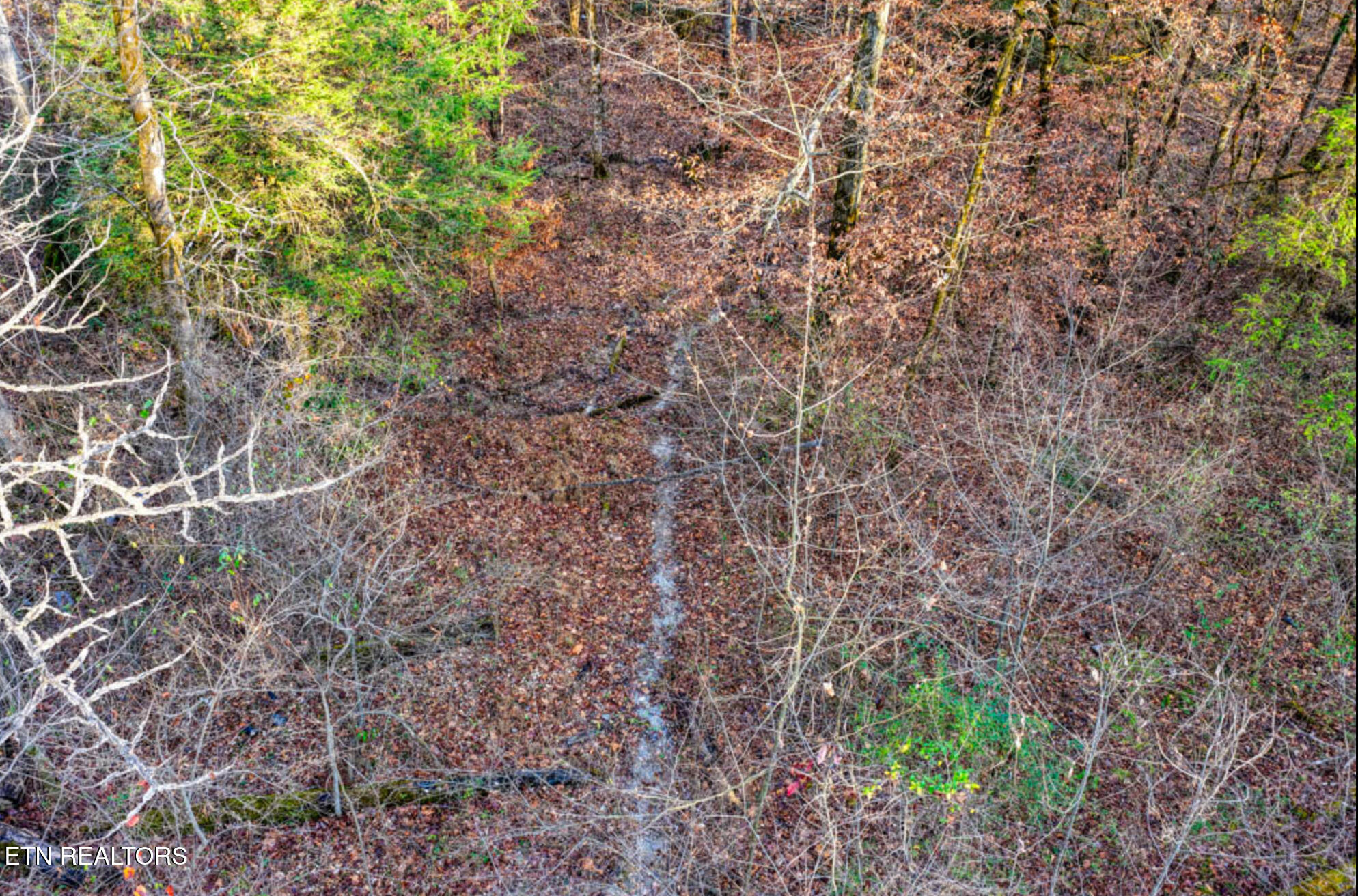 0 Hoskins Gap Road Oliver Springs TN 37840