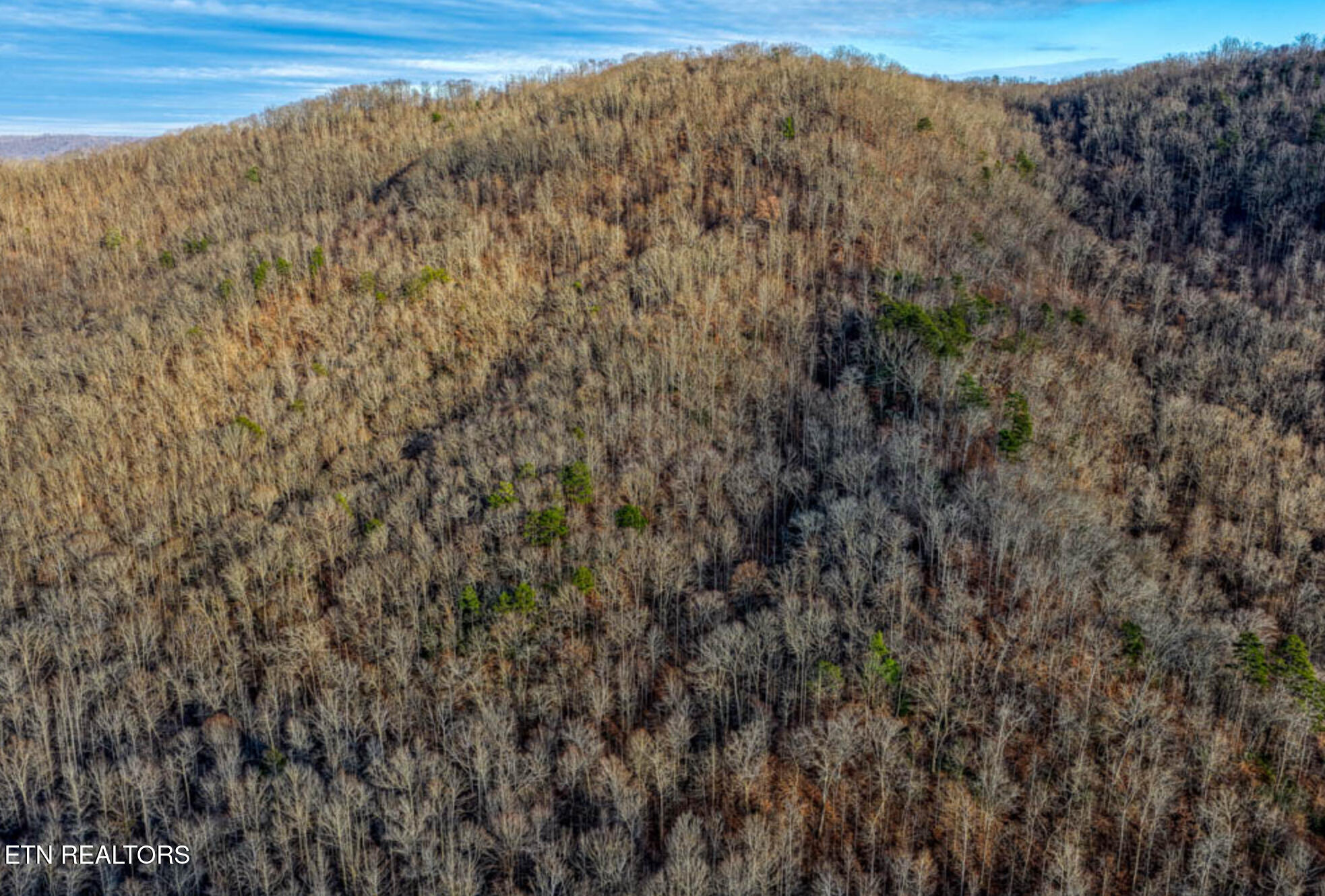 0 Hoskins Gap Road Oliver Springs TN 37840