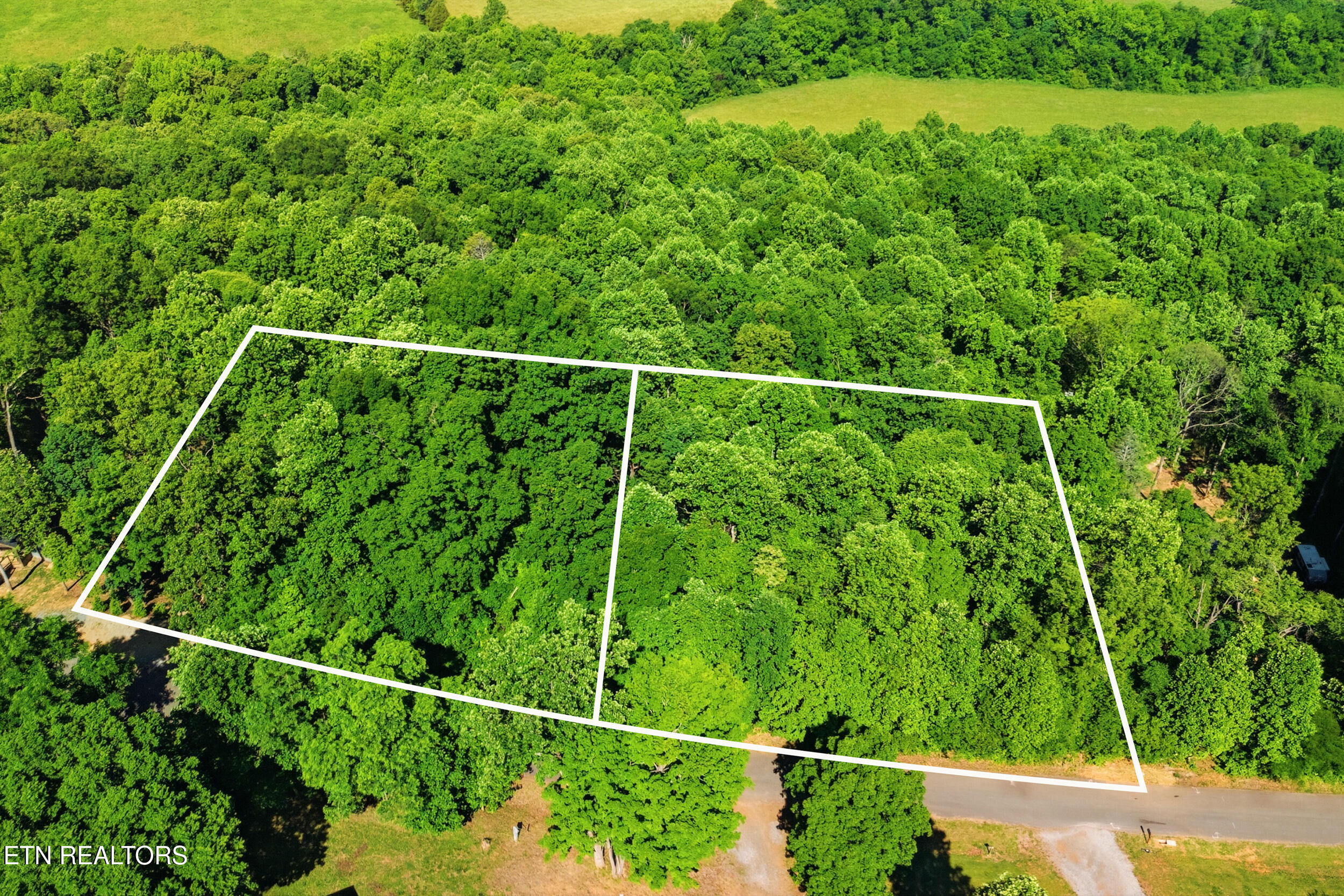 Lots 32&33 Stevia Way Cosby TN 37722
