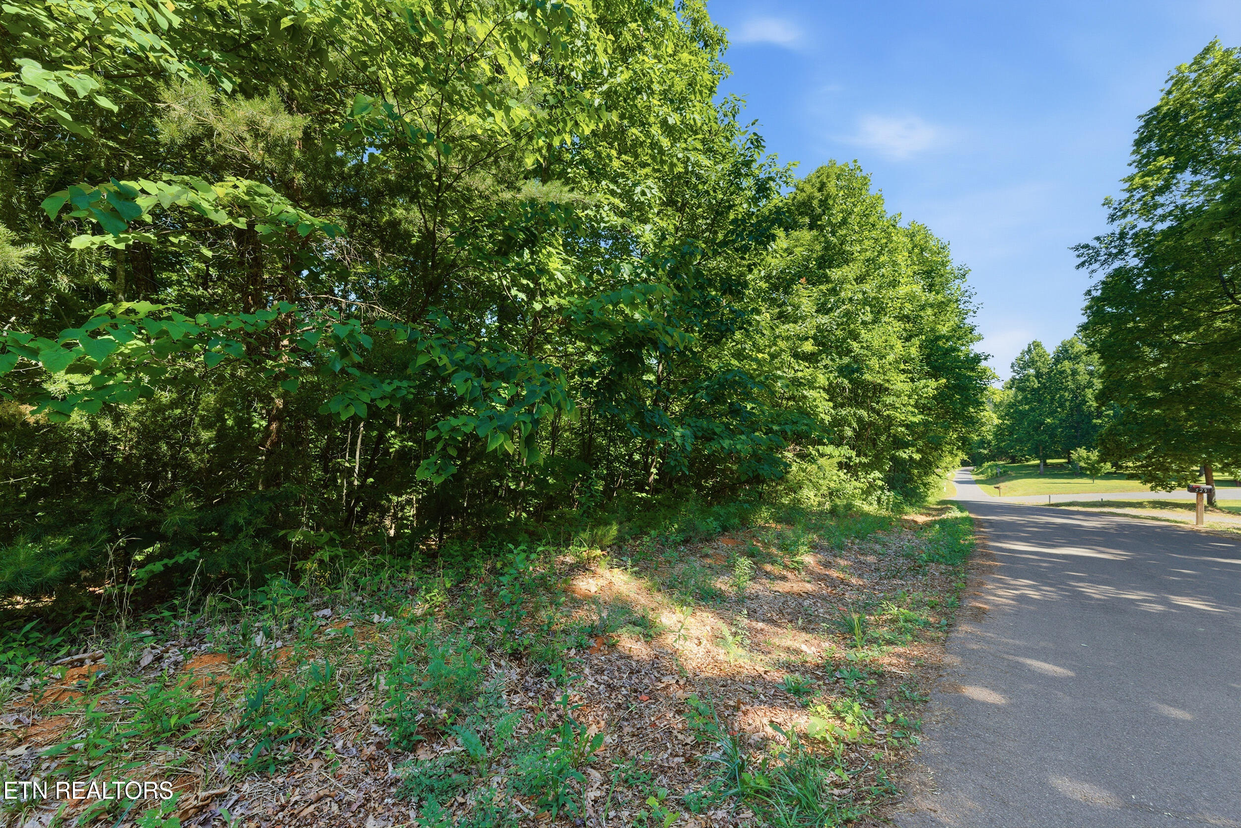 Lots 32&33 Stevia Way Cosby TN 37722