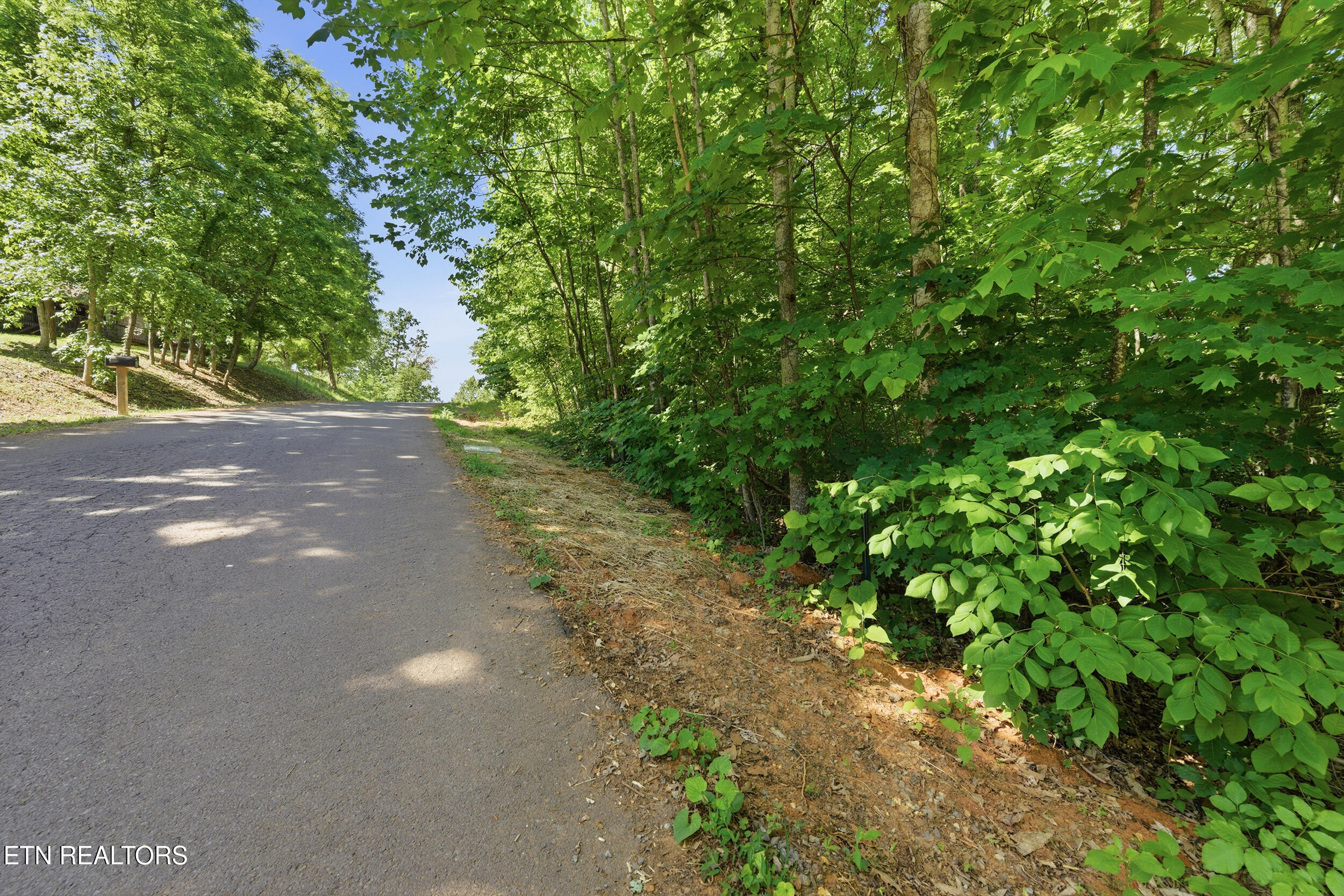 Lots 32&33 Stevia Way Cosby TN 37722