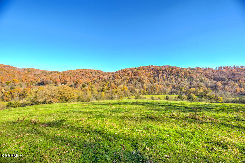 311 Ross Cemetery Road Rocky Top TN 37769