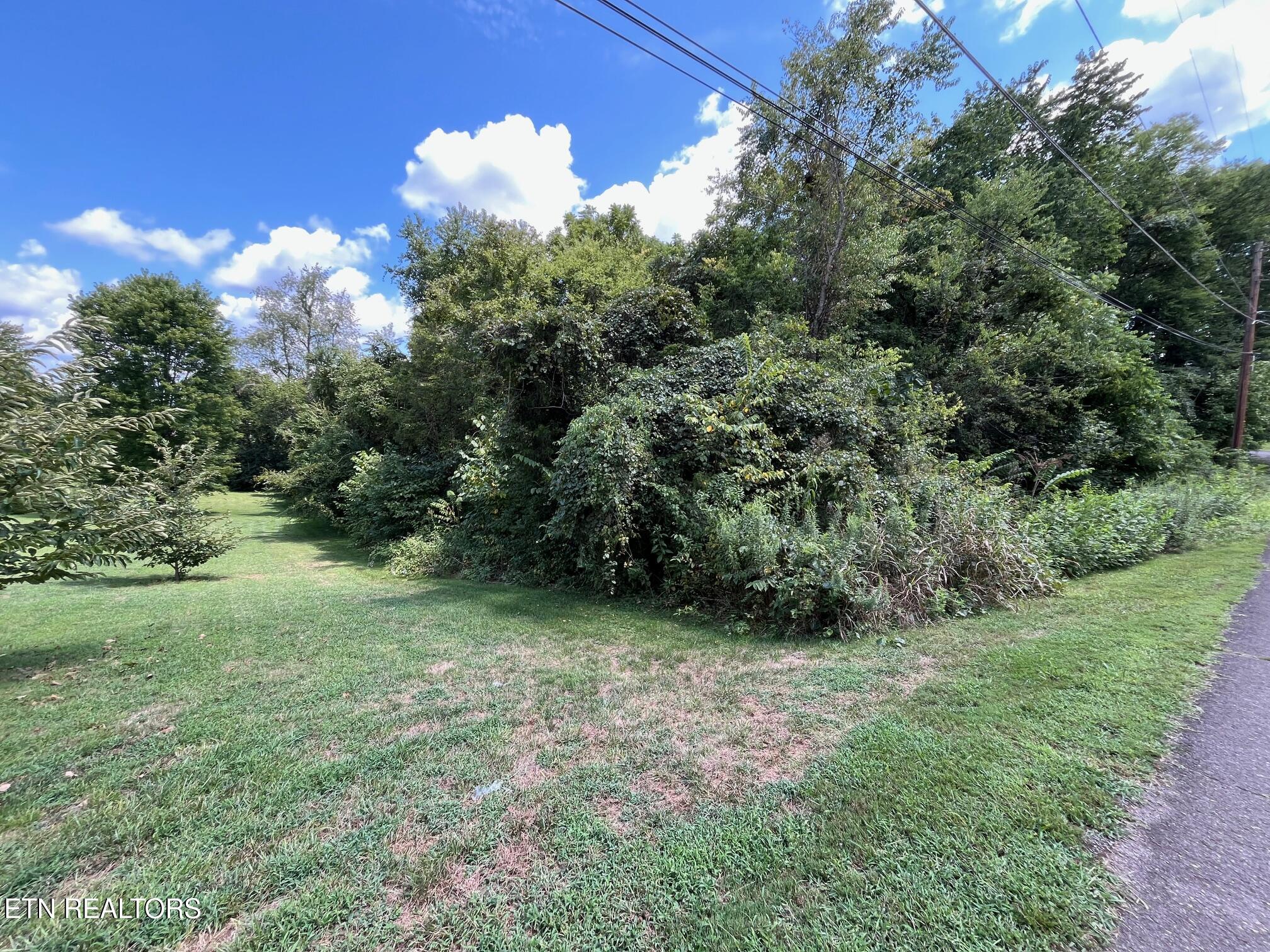 Lots 15 West View Drive Strawberry Plains TN 37871
