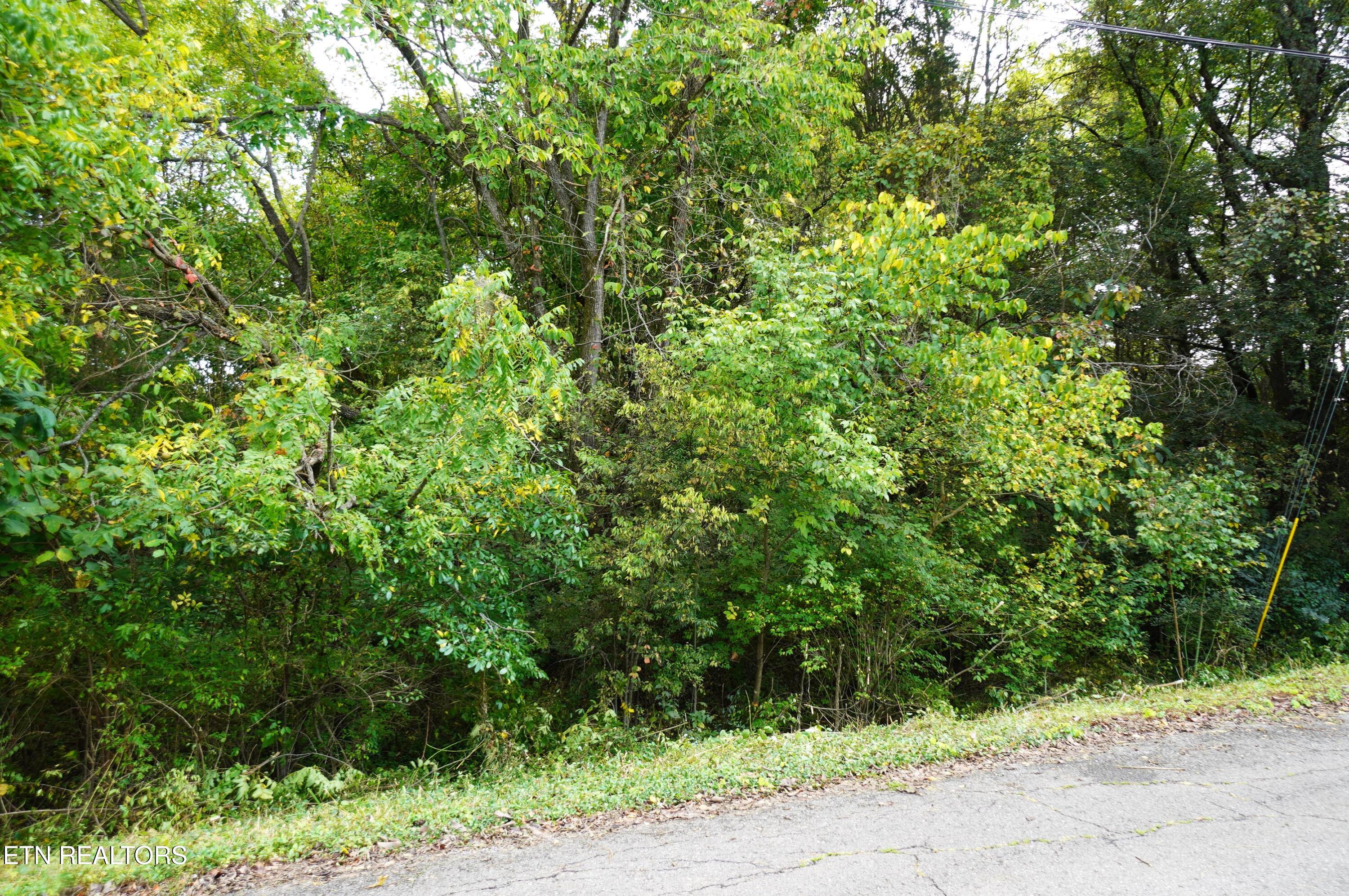Lots 15 West View Drive Strawberry Plains TN 37871