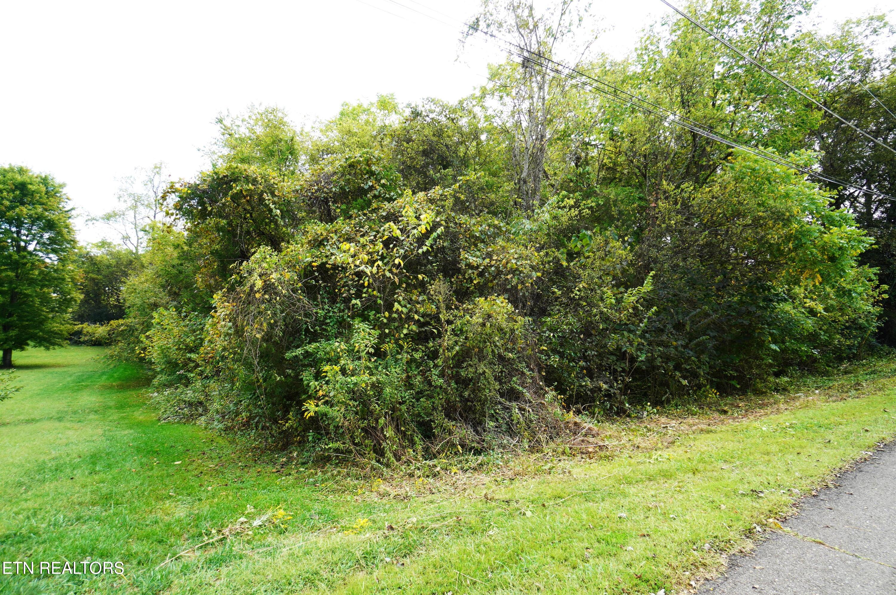 Lots 15 West View Drive Strawberry Plains TN 37871
