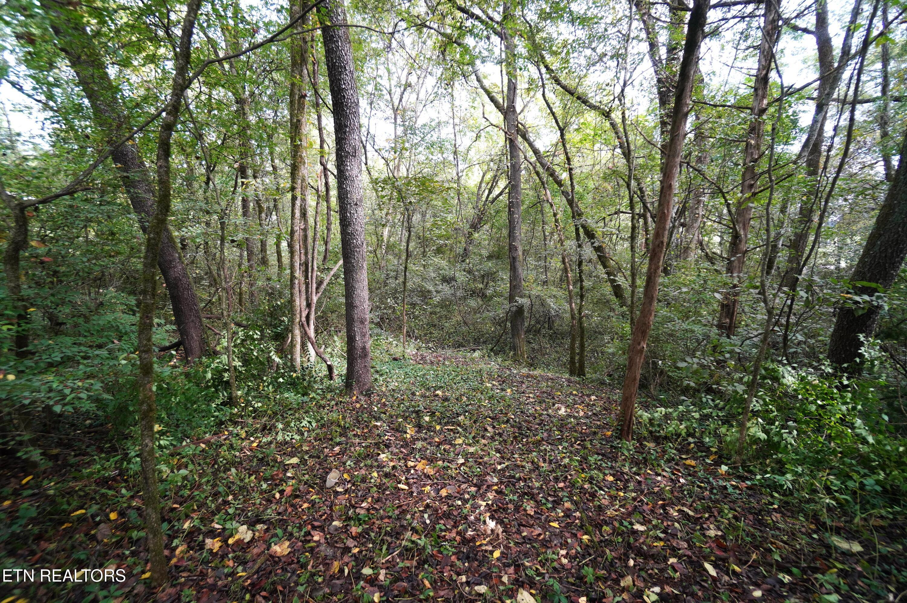 Lots 15 West View Drive Strawberry Plains TN 37871