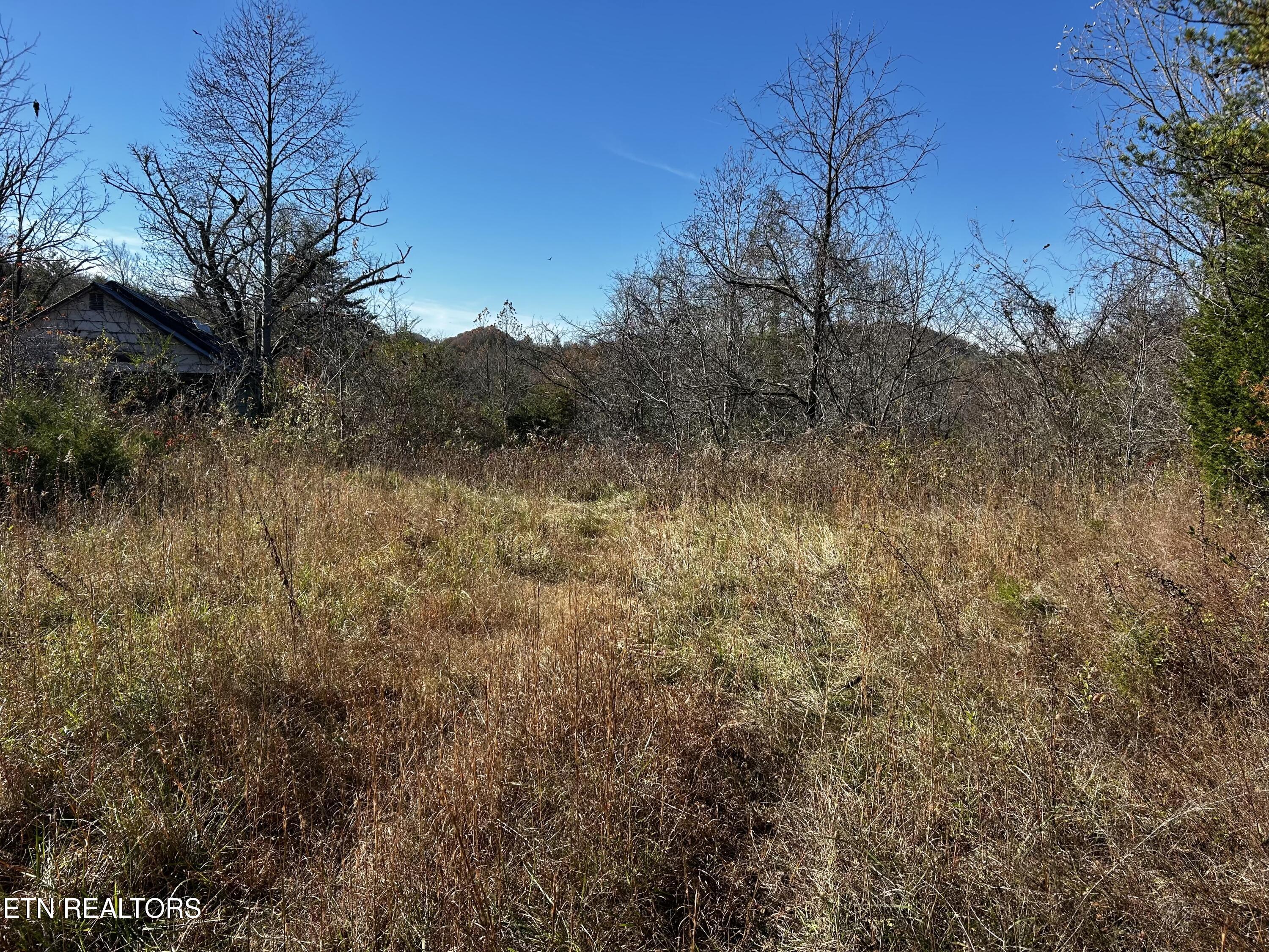 Shaddon Road Lot 1 Tellico Plains TN 37385