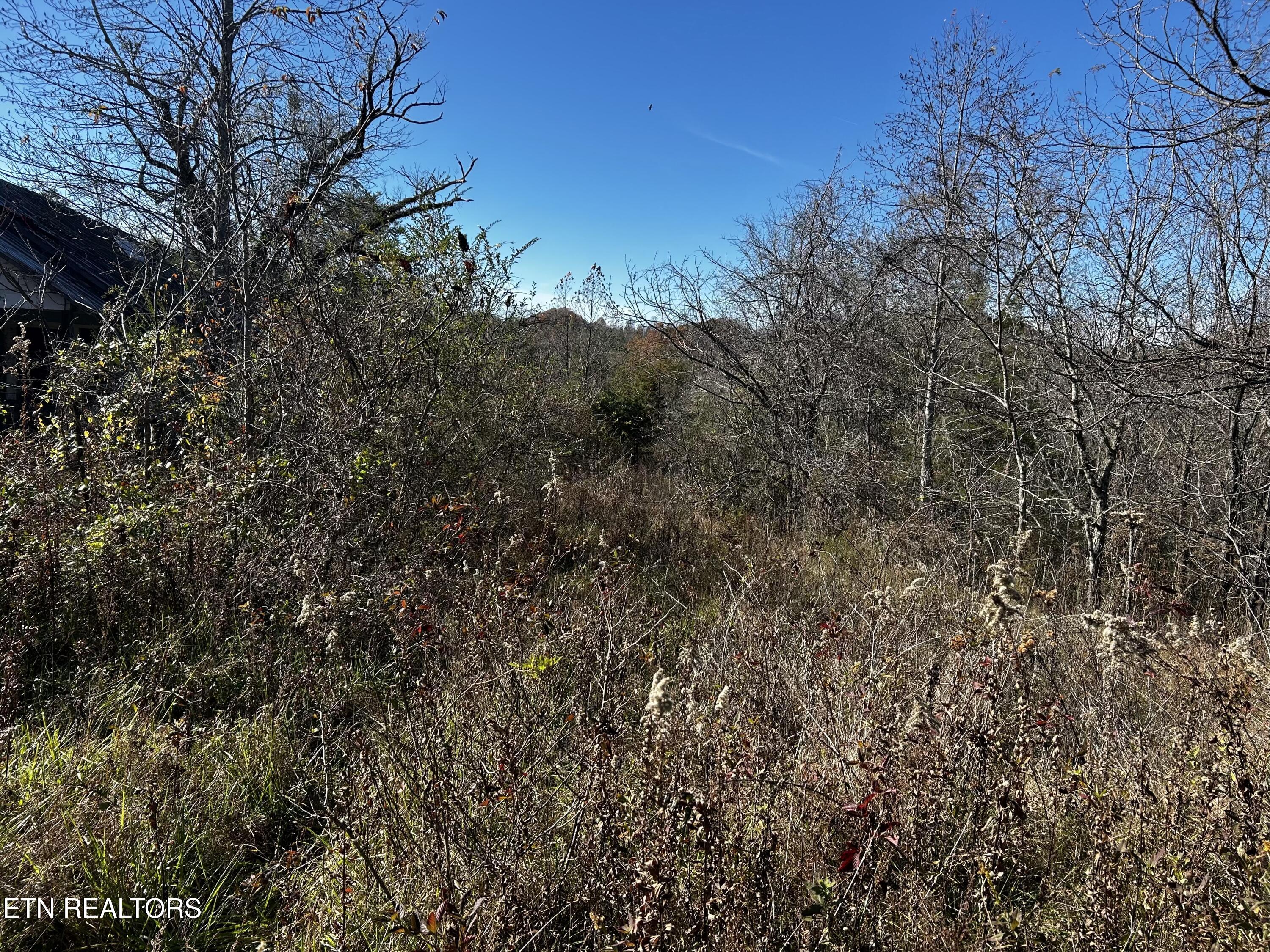 Shaddon Road Lot 1 Tellico Plains TN 37385