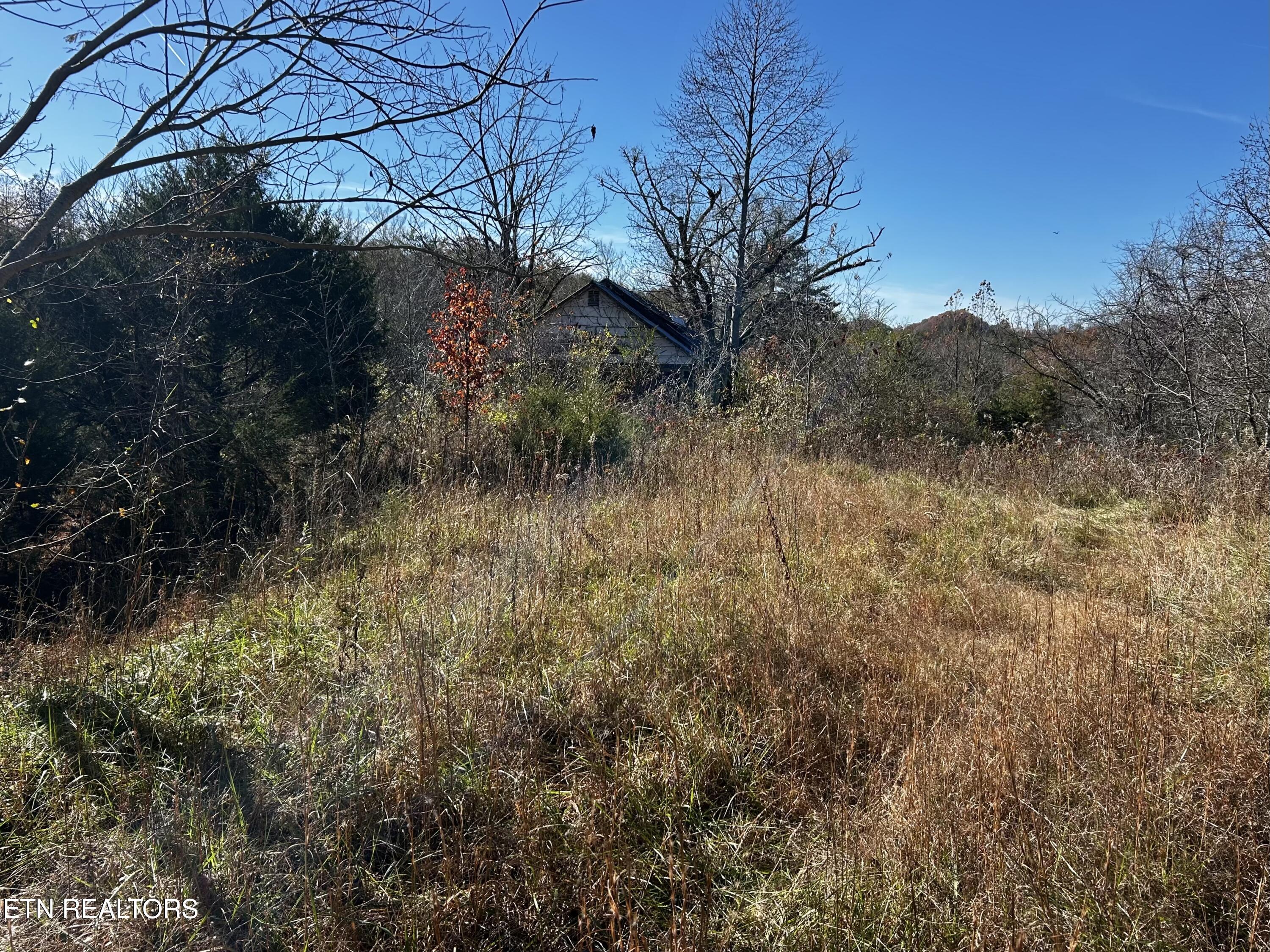 Shaddon Road Lot 1 Tellico Plains TN 37385