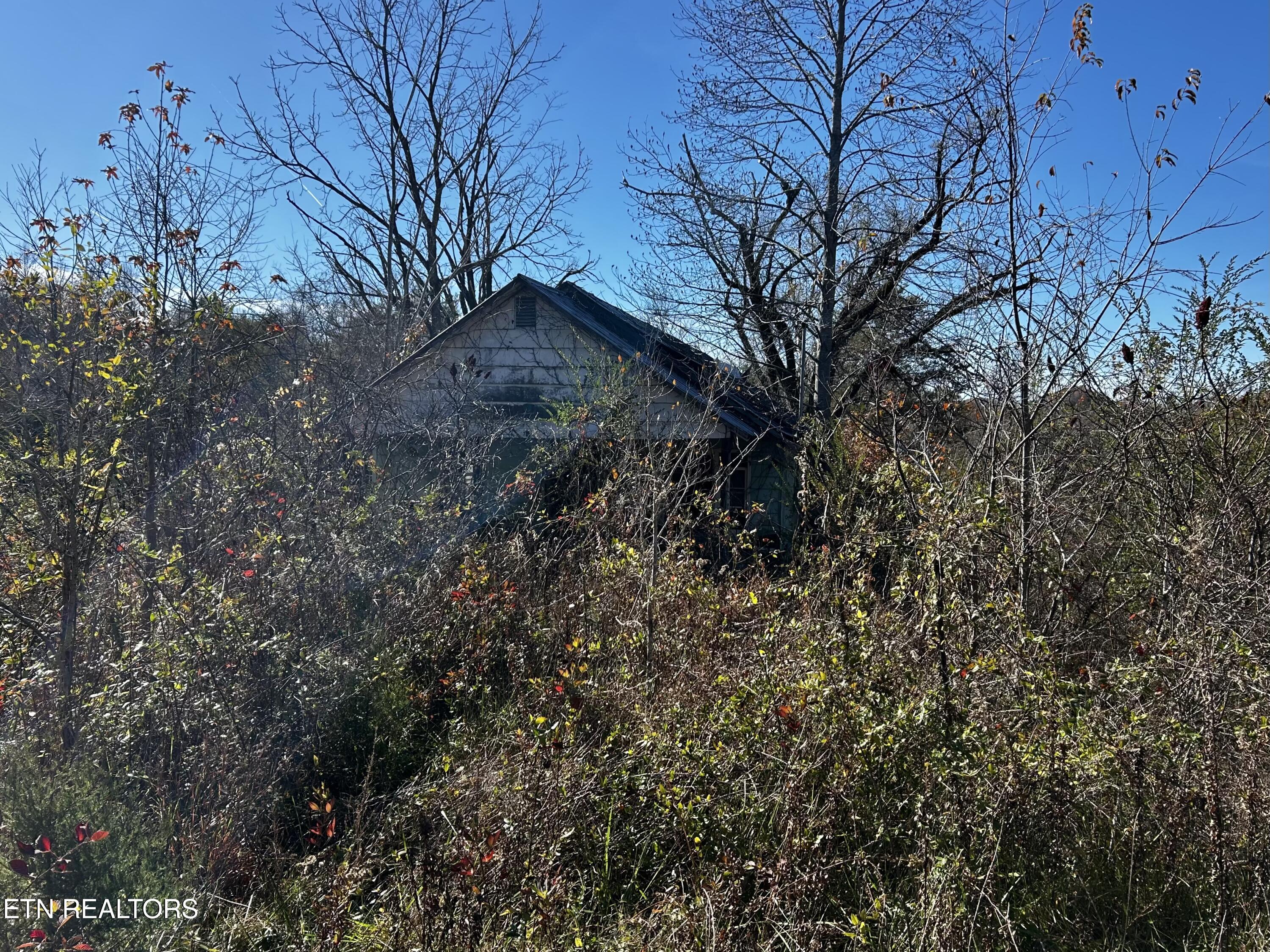 Shaddon Road Lot 1 Tellico Plains TN 37385