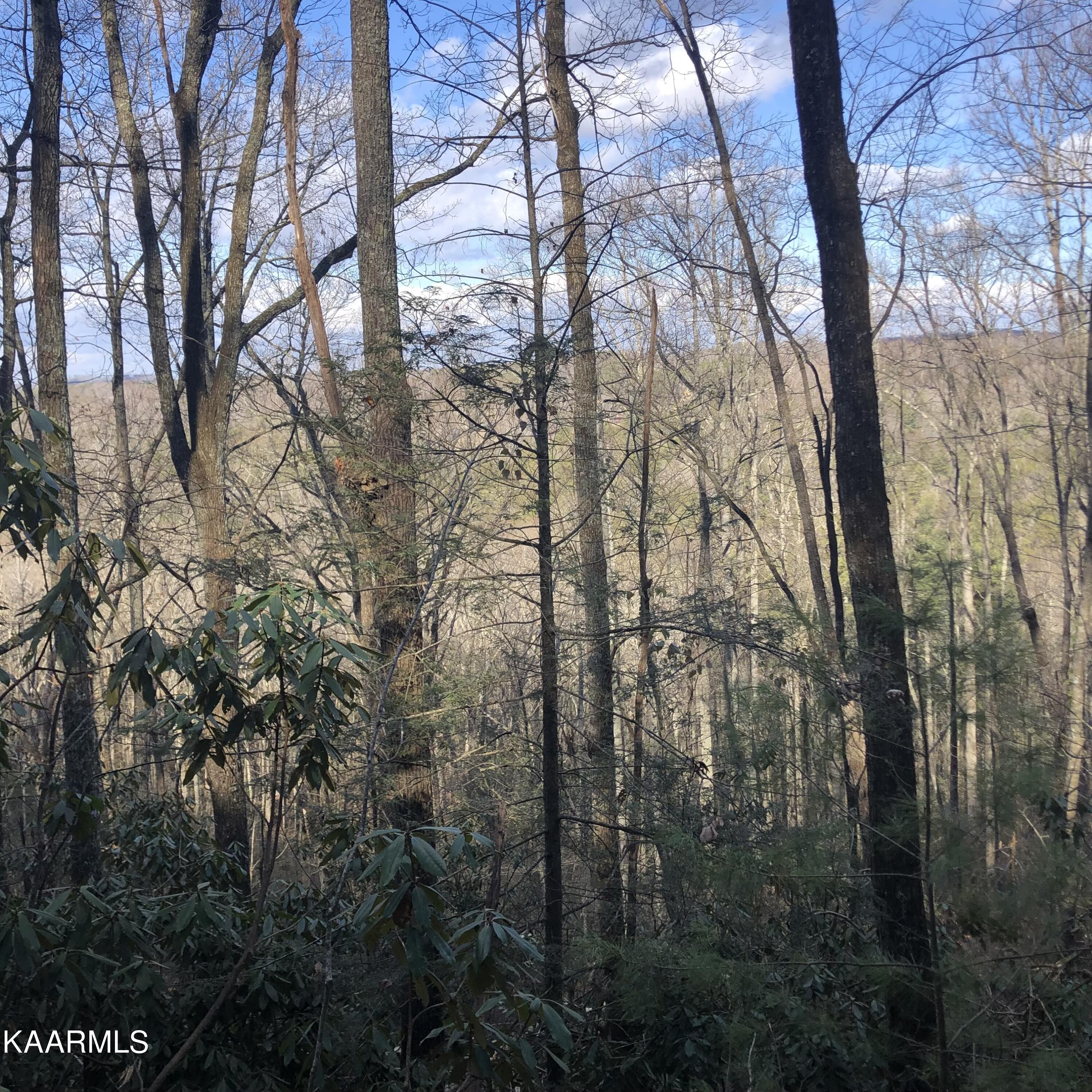 450 Holder Cemetery Road Tellico Plains TN 37385