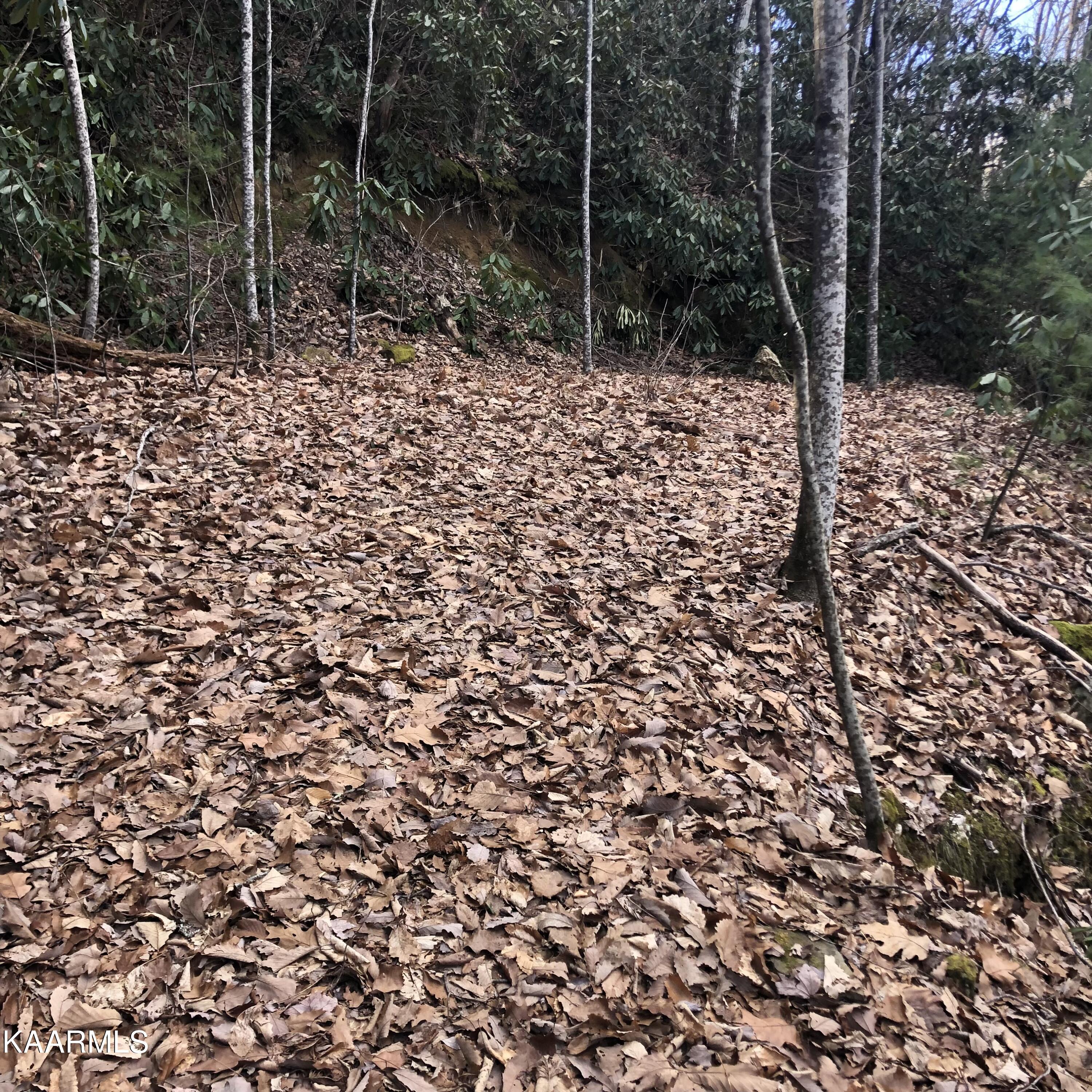 450 Holder Cemetery Road Tellico Plains TN 37385