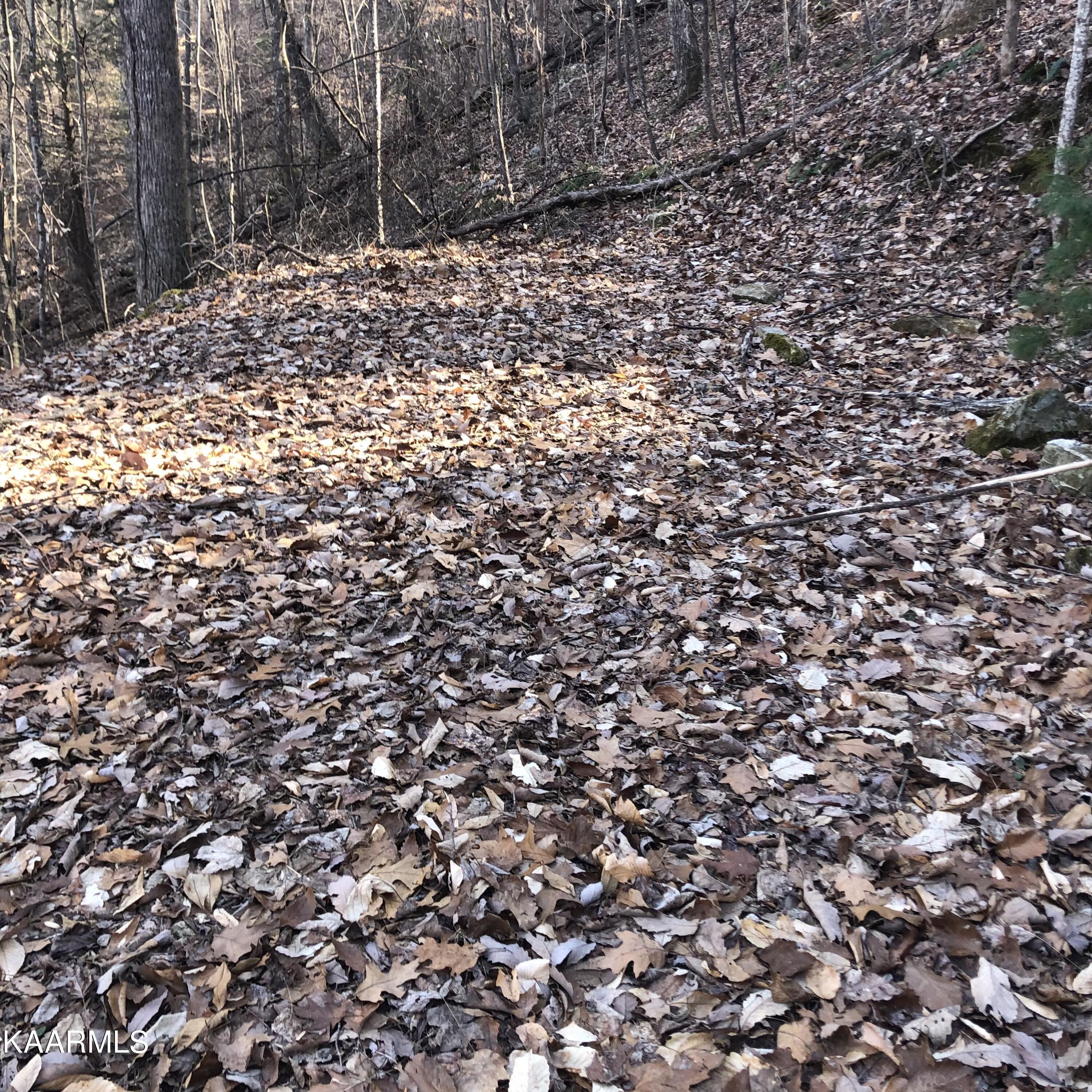 450 Holder Cemetery Road Tellico Plains TN 37385