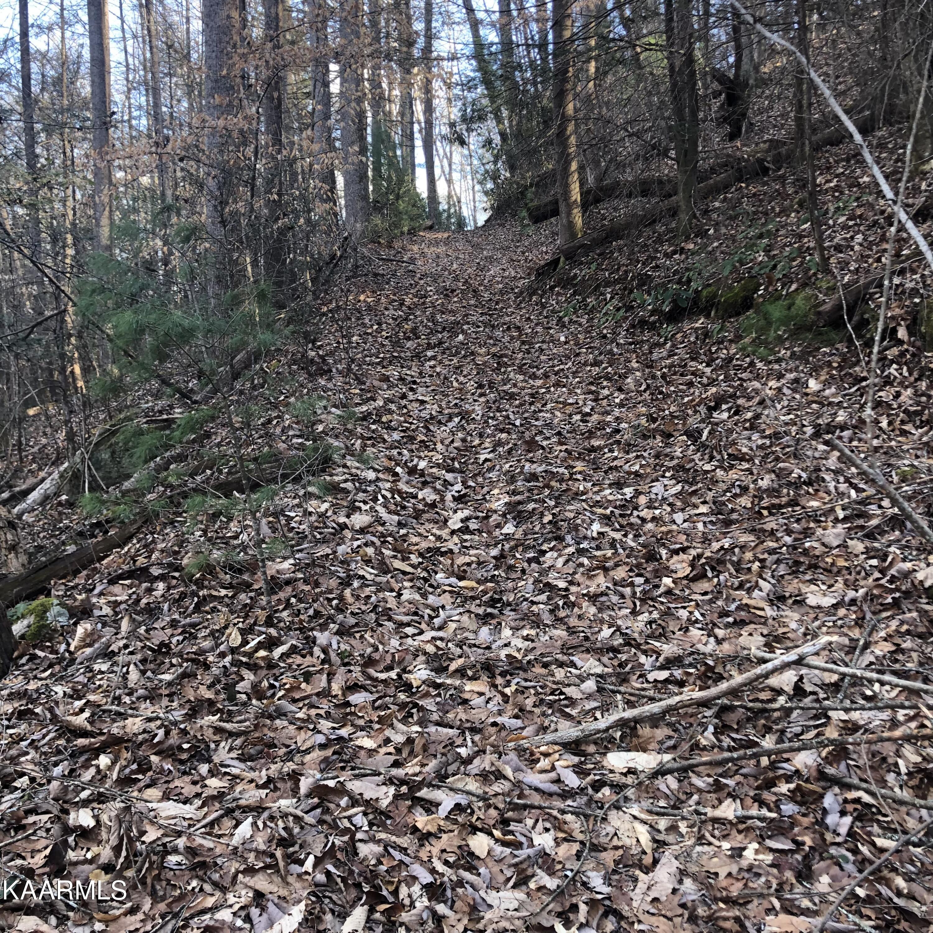 450 Holder Cemetery Road Tellico Plains TN 37385