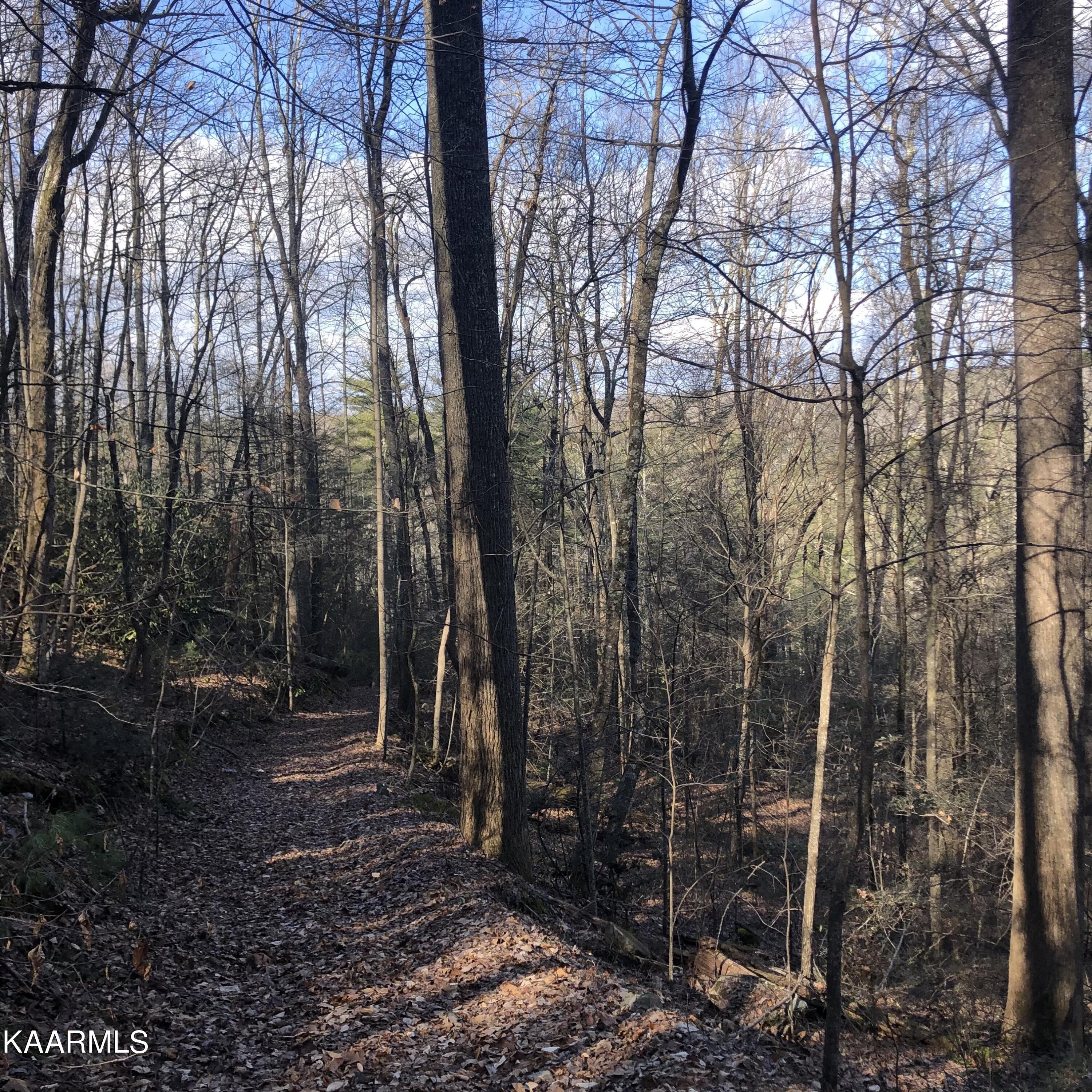 450 Holder Cemetery Road Tellico Plains TN 37385