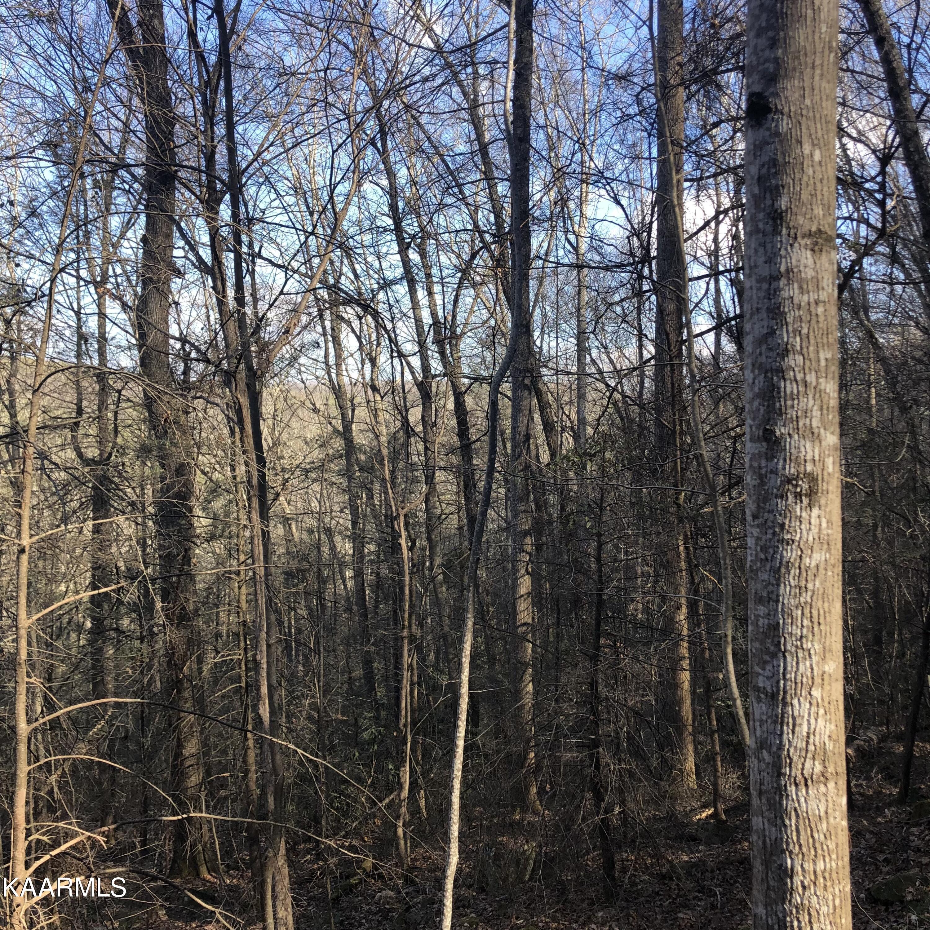 450 Holder Cemetery Road Tellico Plains TN 37385
