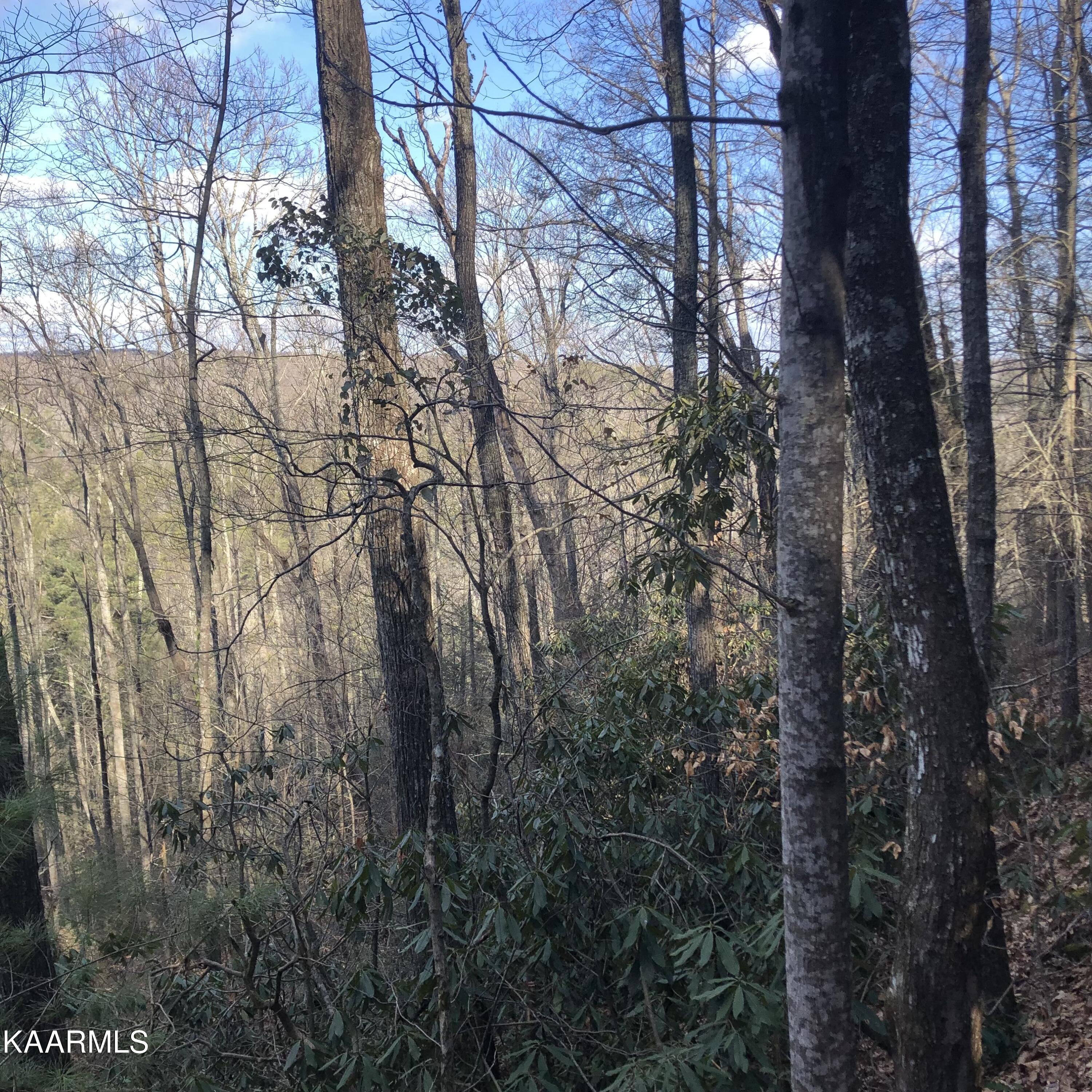 450 Holder Cemetery Road Tellico Plains TN 37385