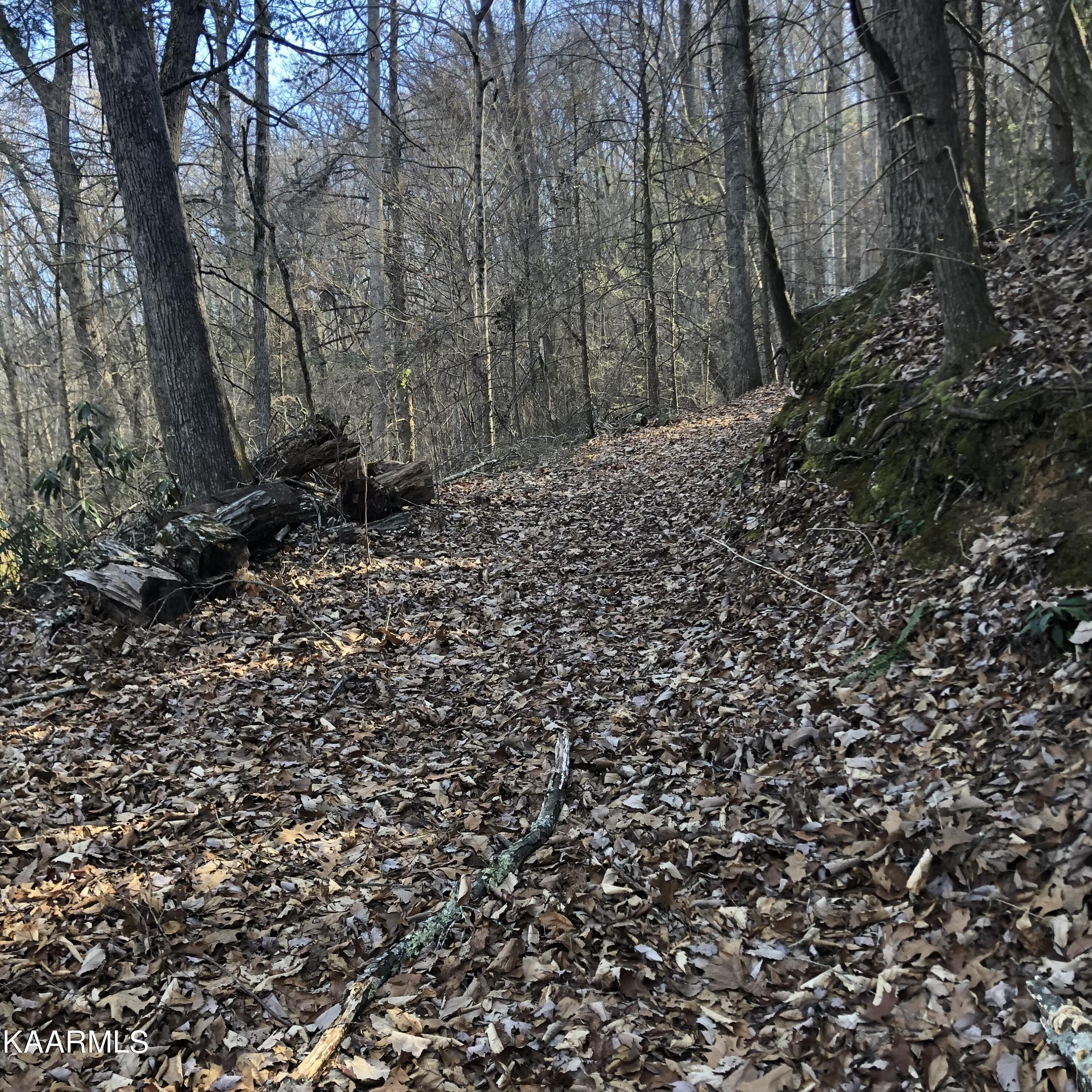 450 Holder Cemetery Road Tellico Plains TN 37385