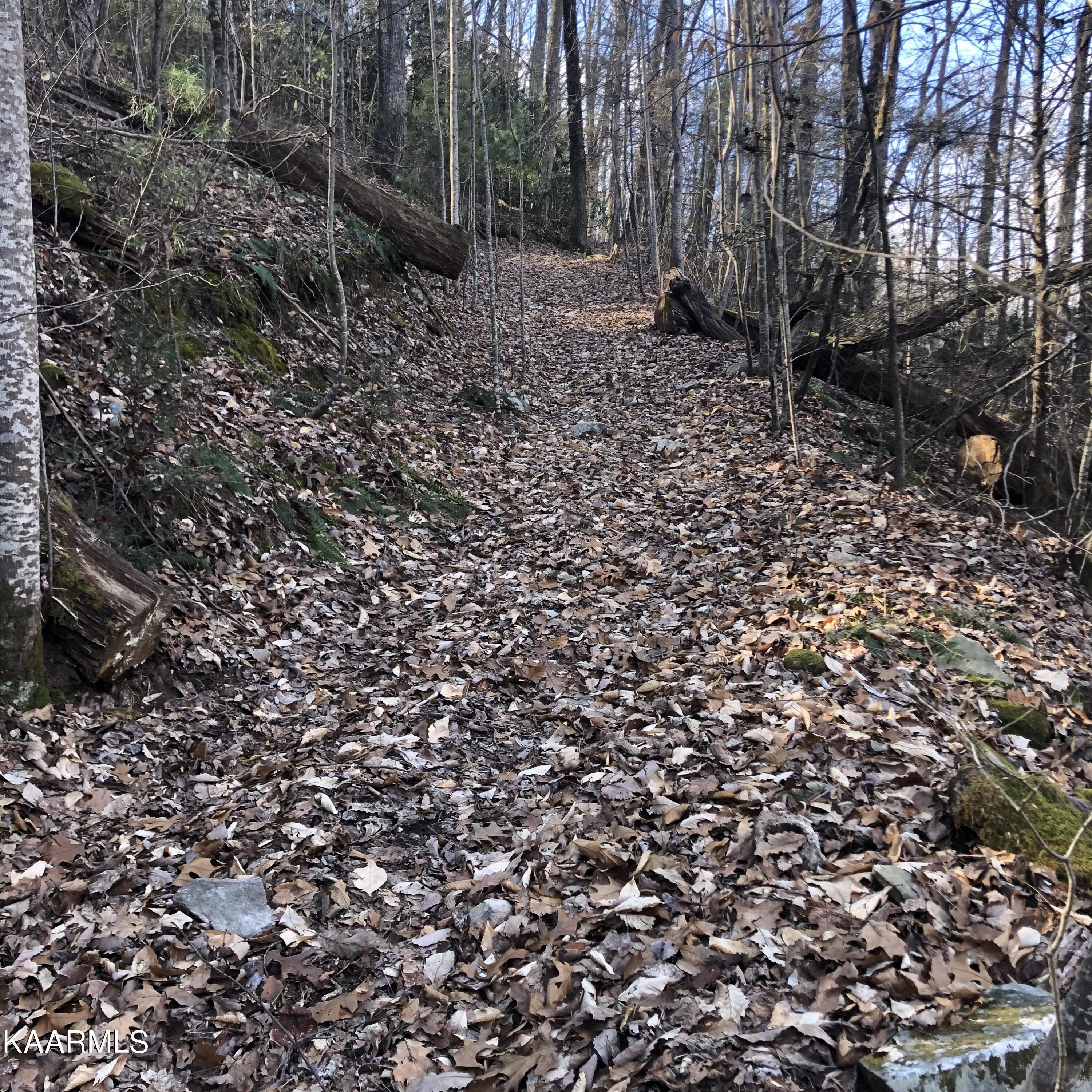 450 Holder Cemetery Road Tellico Plains TN 37385