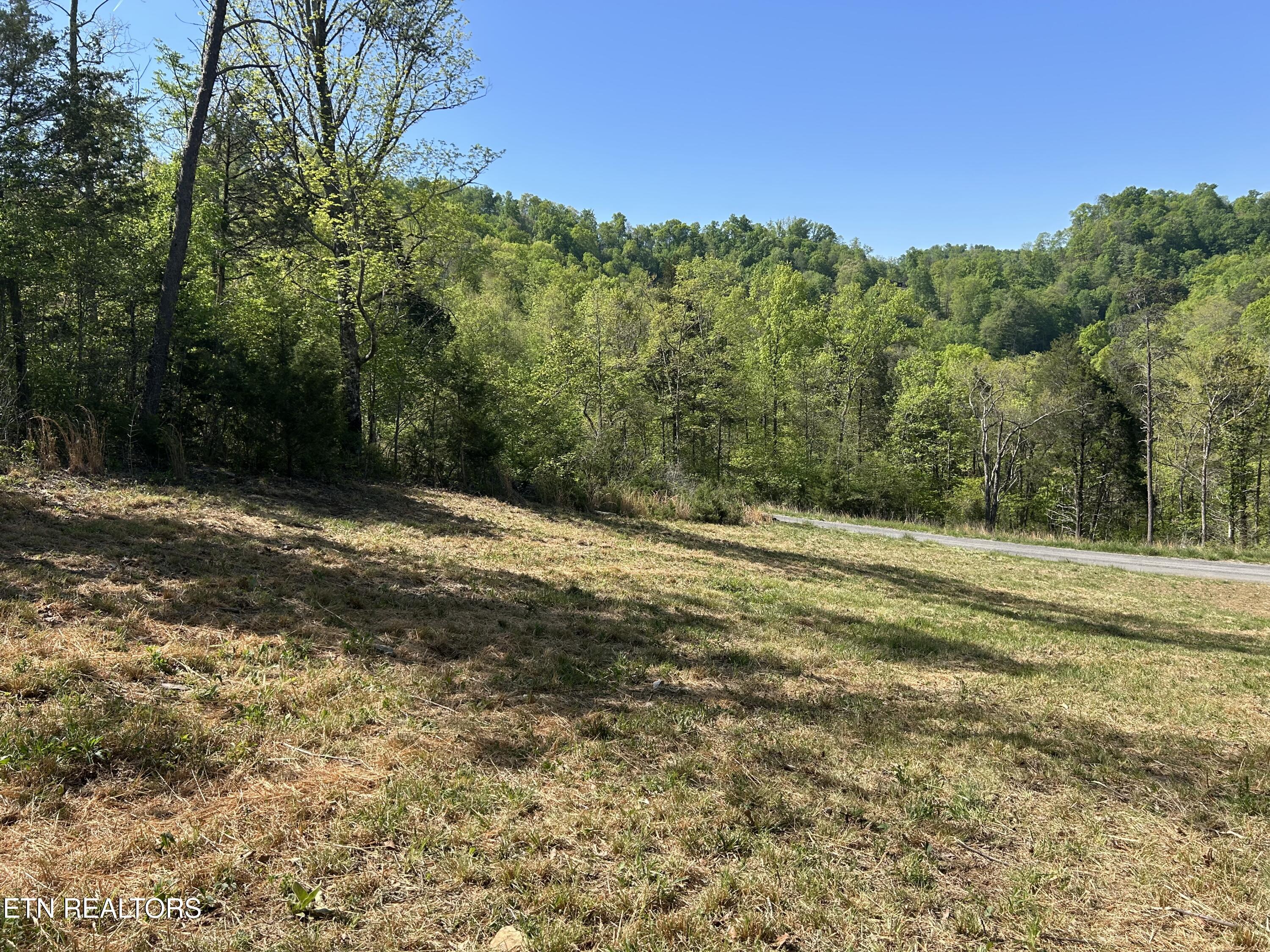 Long Hollow Road Sneedville TN 37869