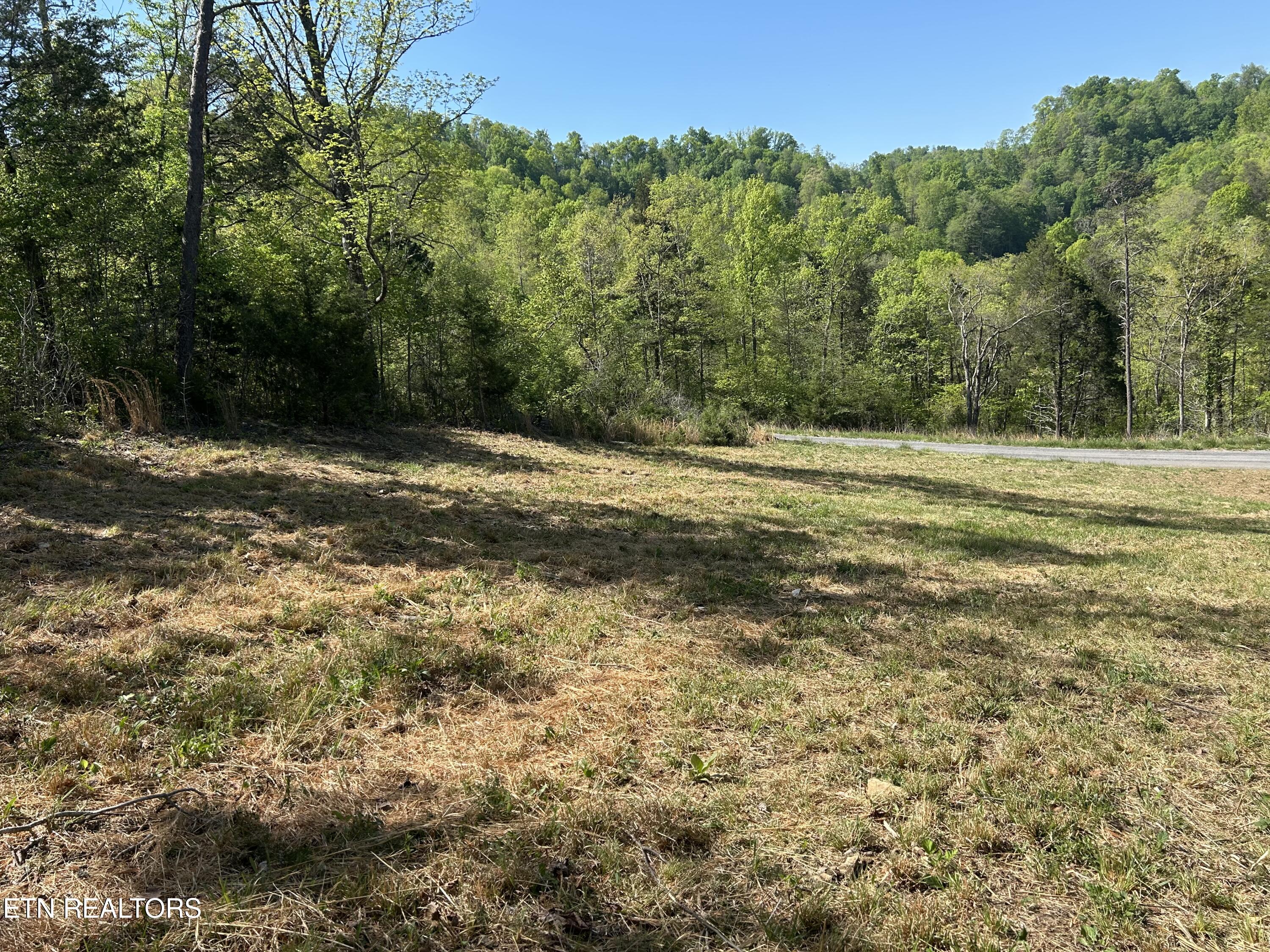 Long Hollow Road Sneedville TN 37869