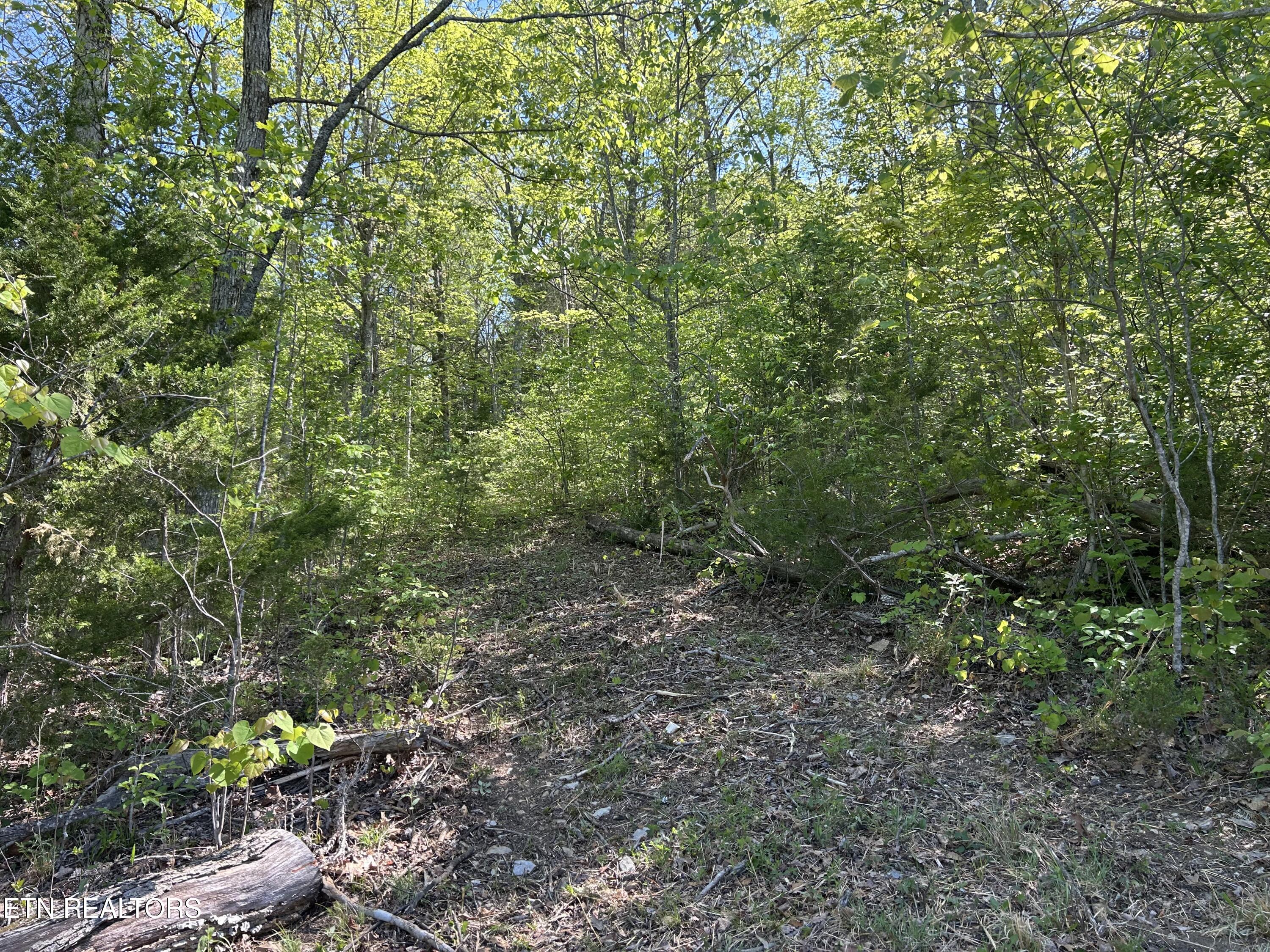 Long Hollow Road Sneedville TN 37869