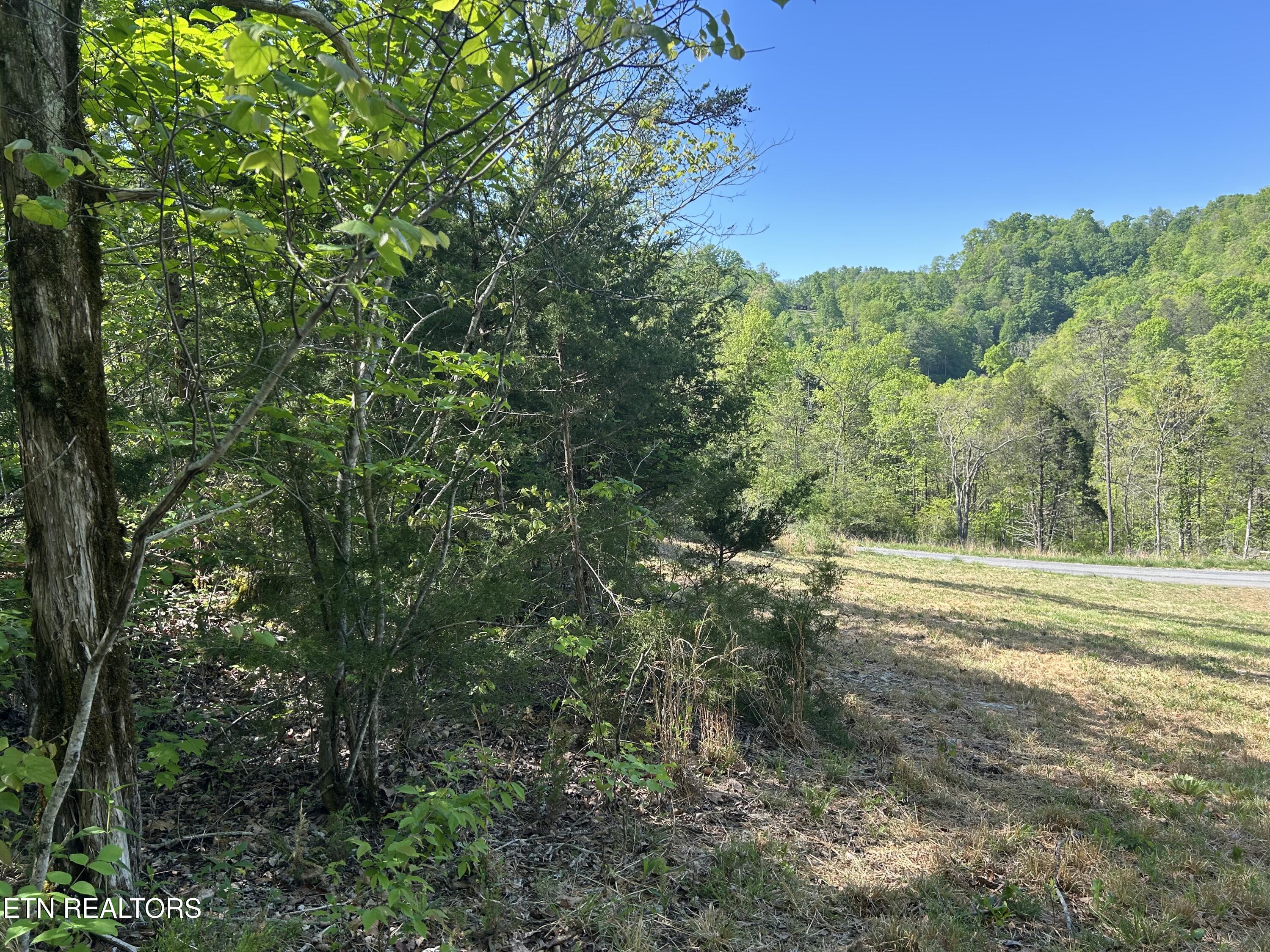 Long Hollow Road Sneedville TN 37869