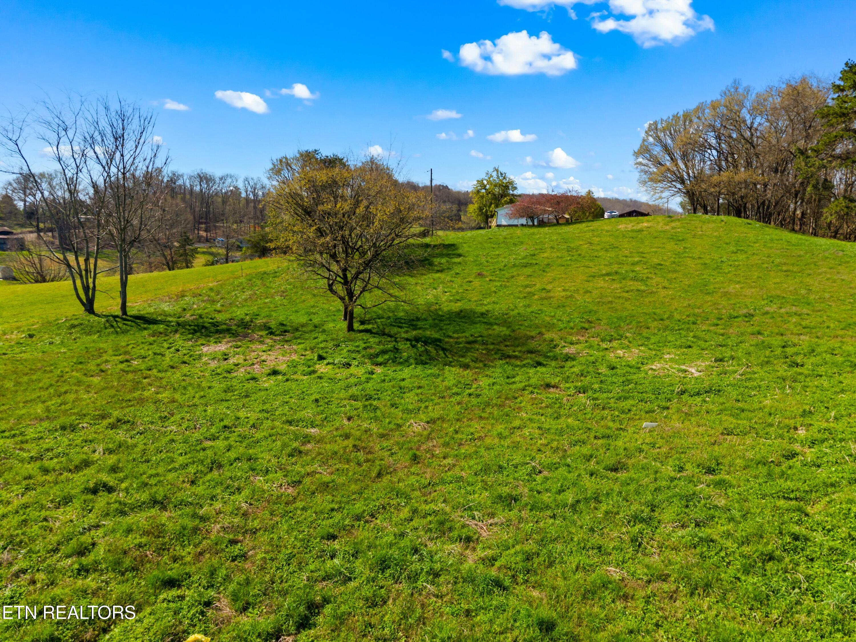 Lot 1 Fanny Collins Road Whitesburg TN 37891