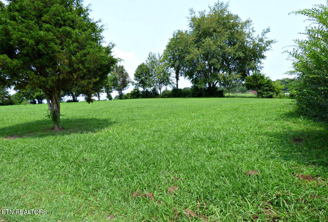 452 Wells Spring Road Dandridge TN 37725