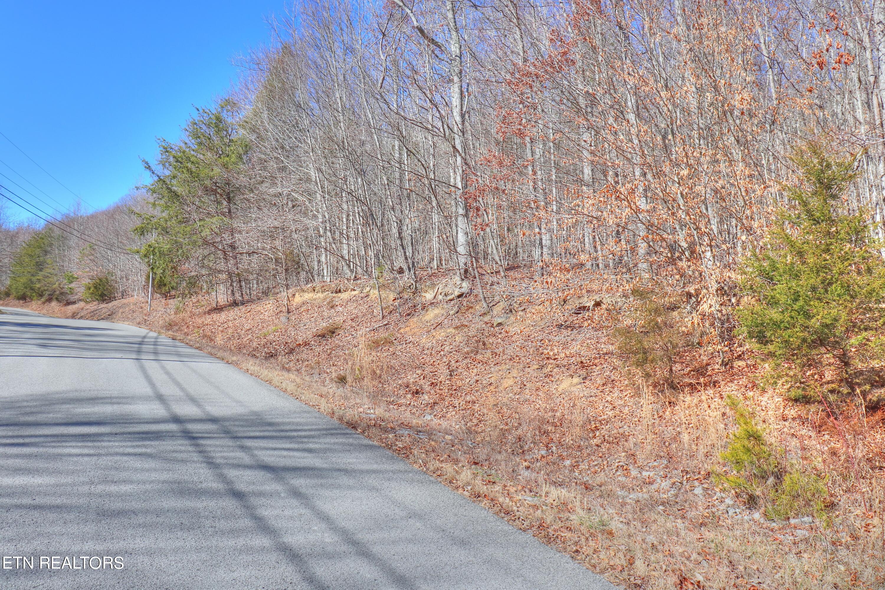 Lot 139 Whistle Valley Road New Tazewell TN 37825