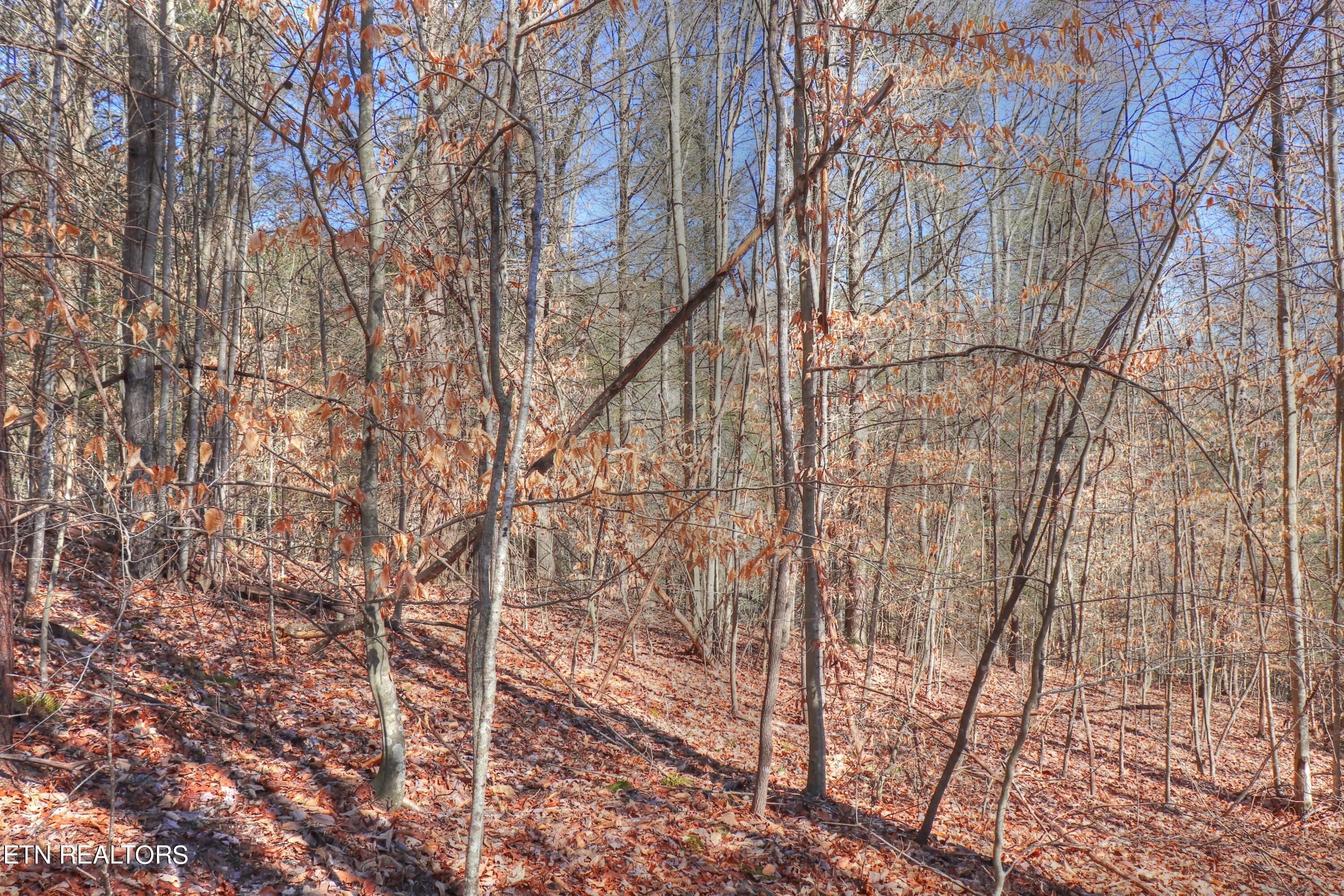 Lot 139 Whistle Valley Road New Tazewell TN 37825